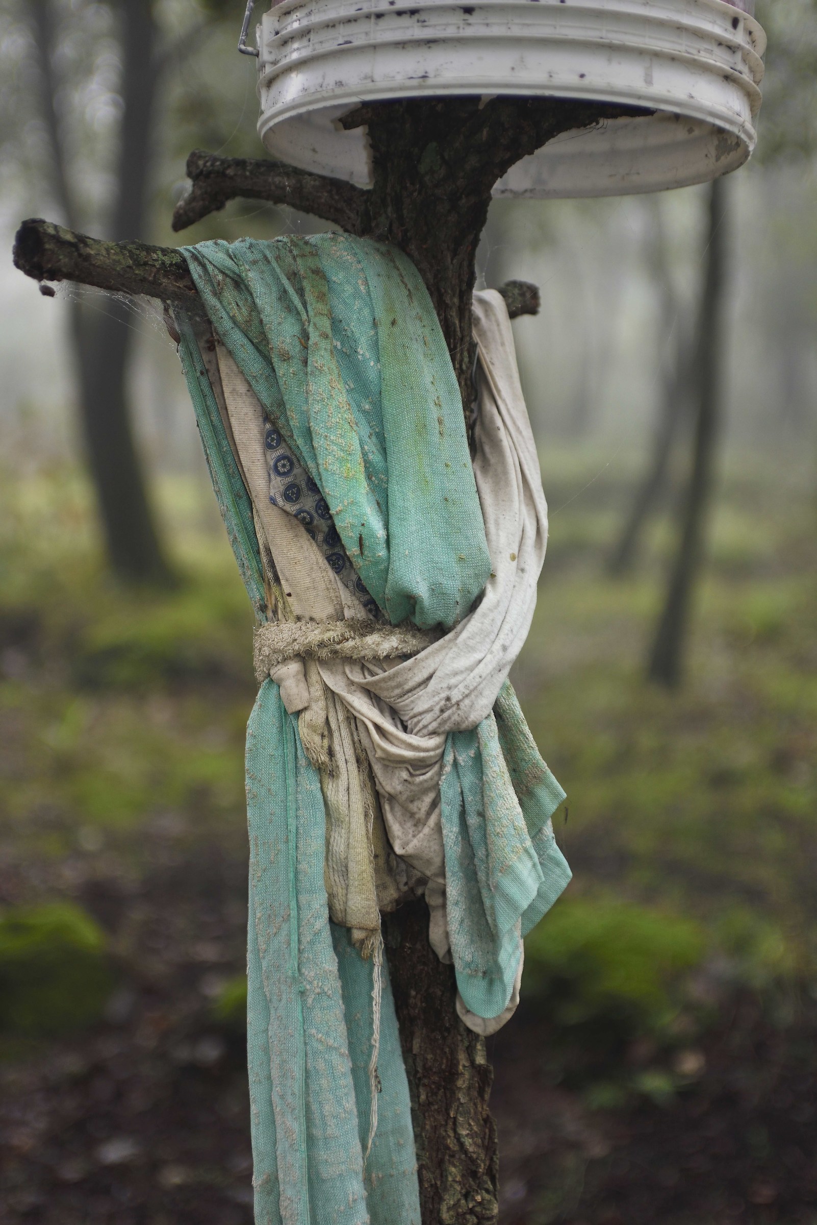 Nel giardino del barbone