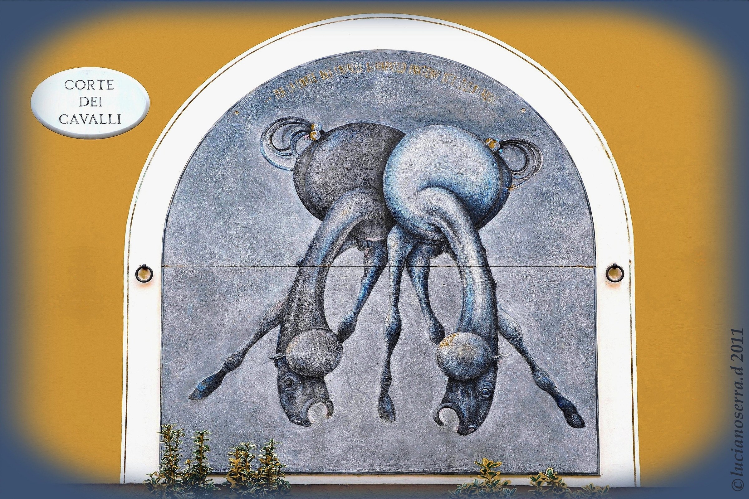 Court of the horses GianPaolo Fantoni in 2001