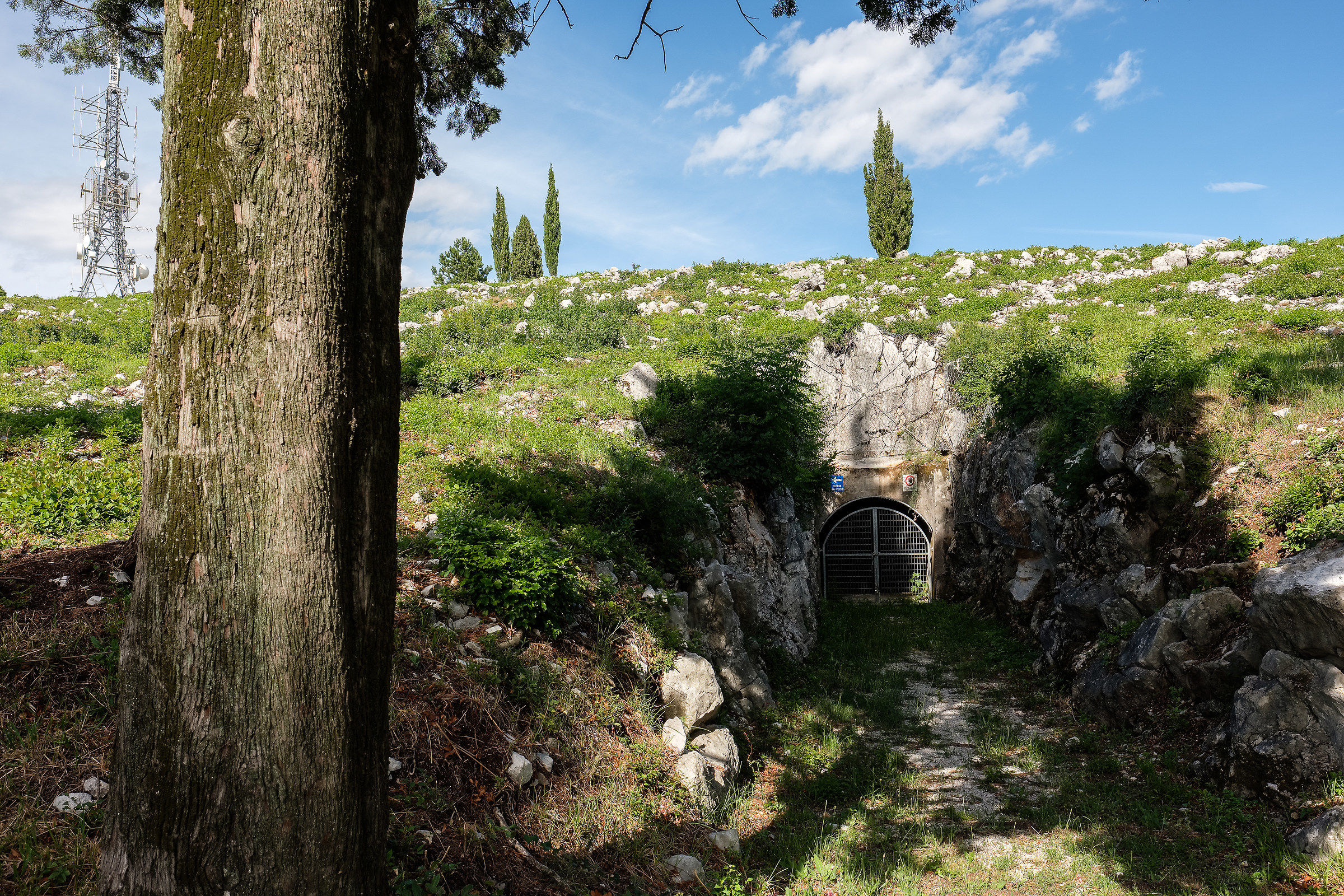 On Mount San Michele, in San Martino del Carso