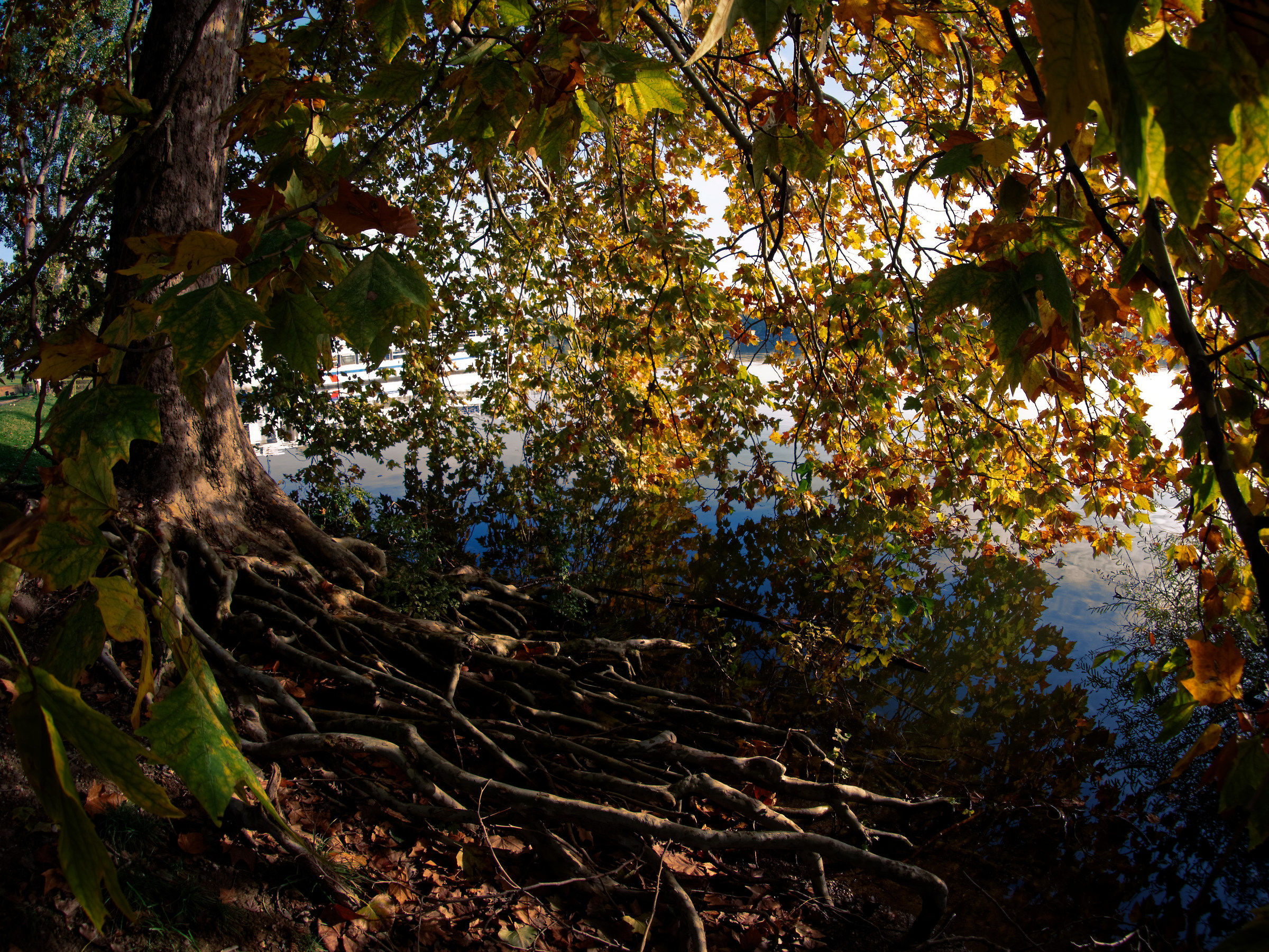 Trattenendo la terra