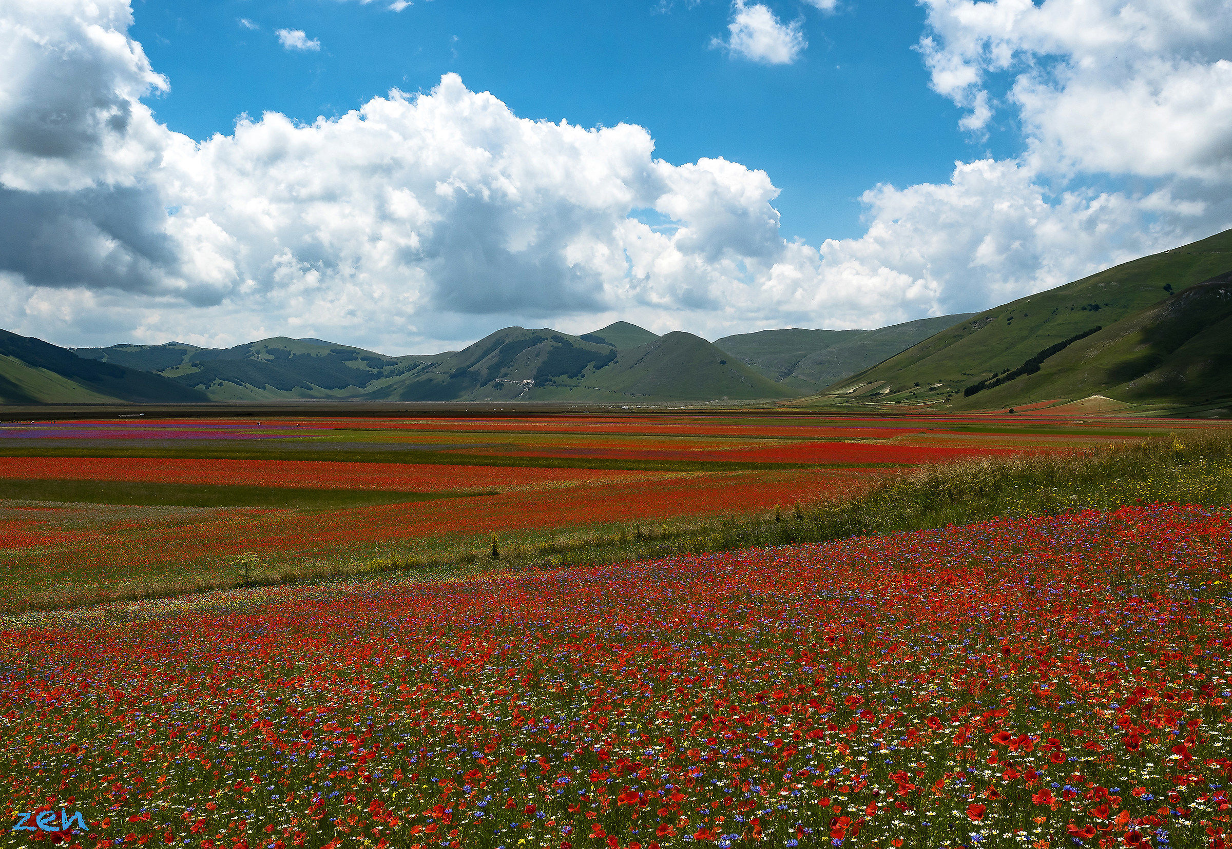 Castelluccio