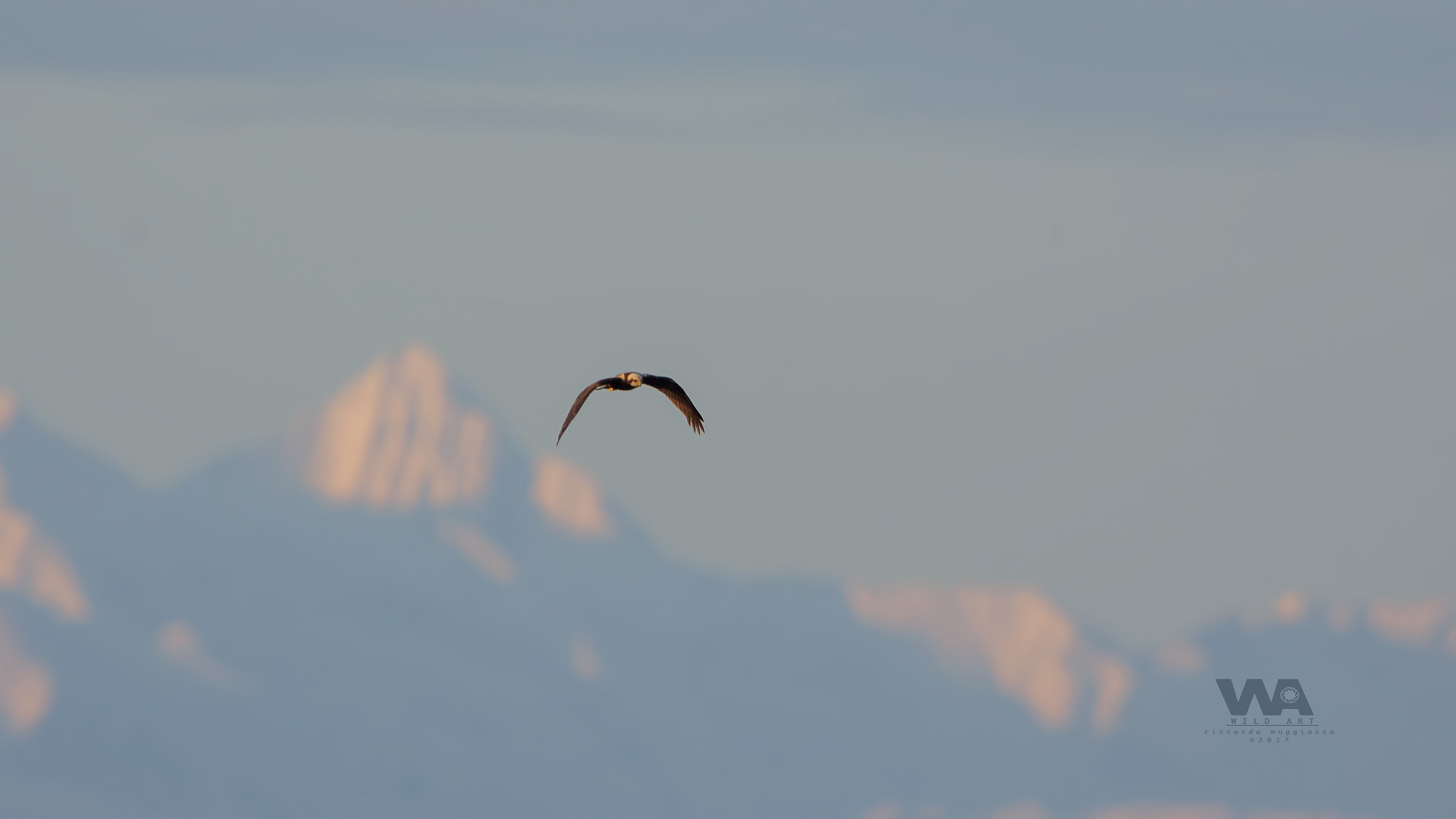 Perlustrazione al tramonto