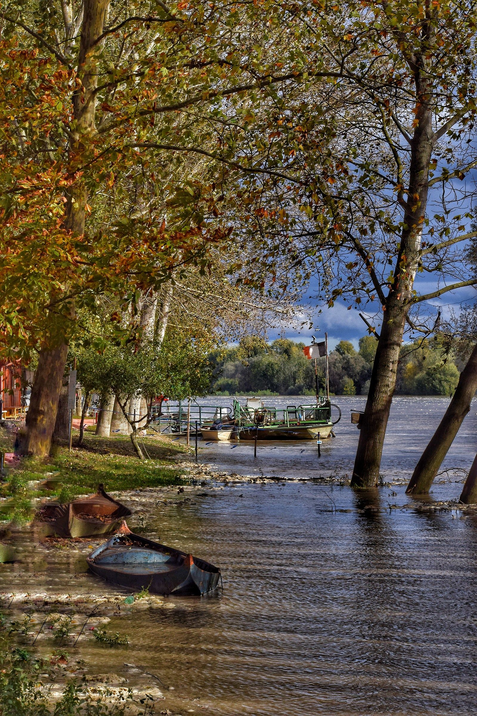 Autunno lungo il fiume