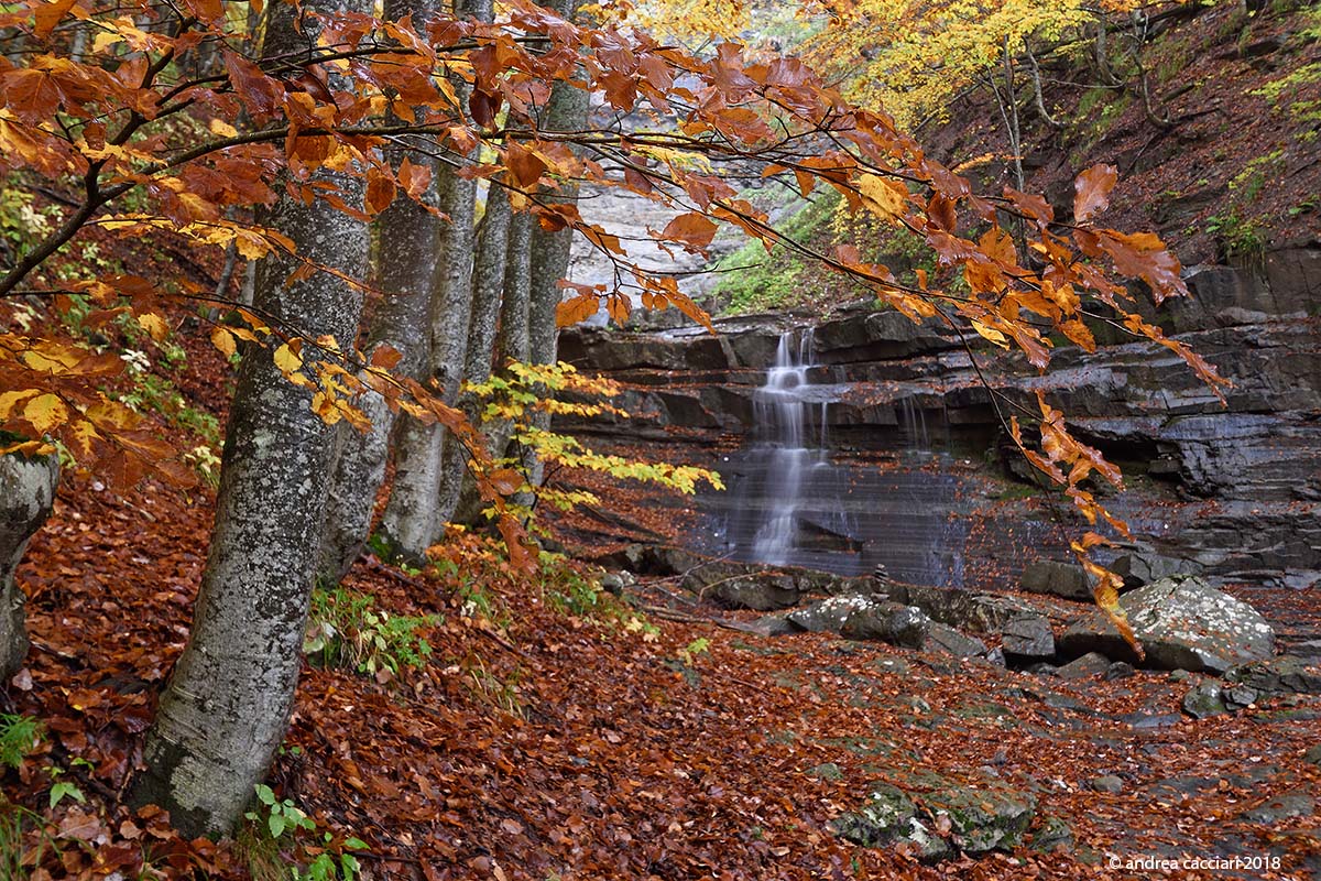 Lavacchiello Waterfall #4