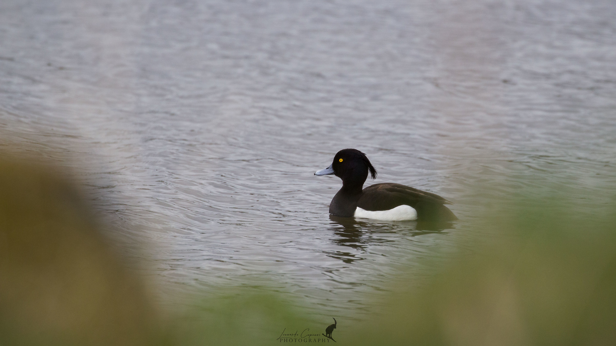 The peace of the senses