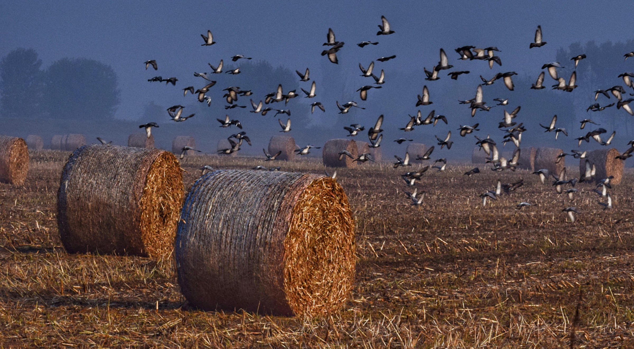 Arriva l'autunno....