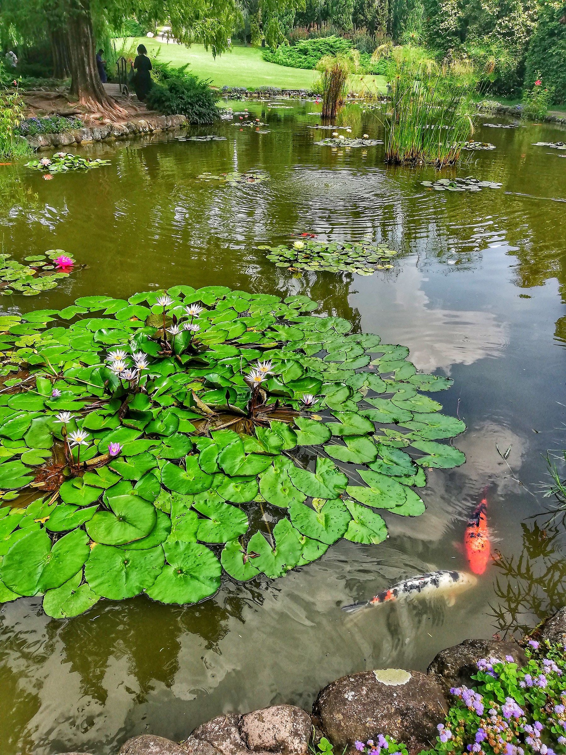 Colors and Reflections