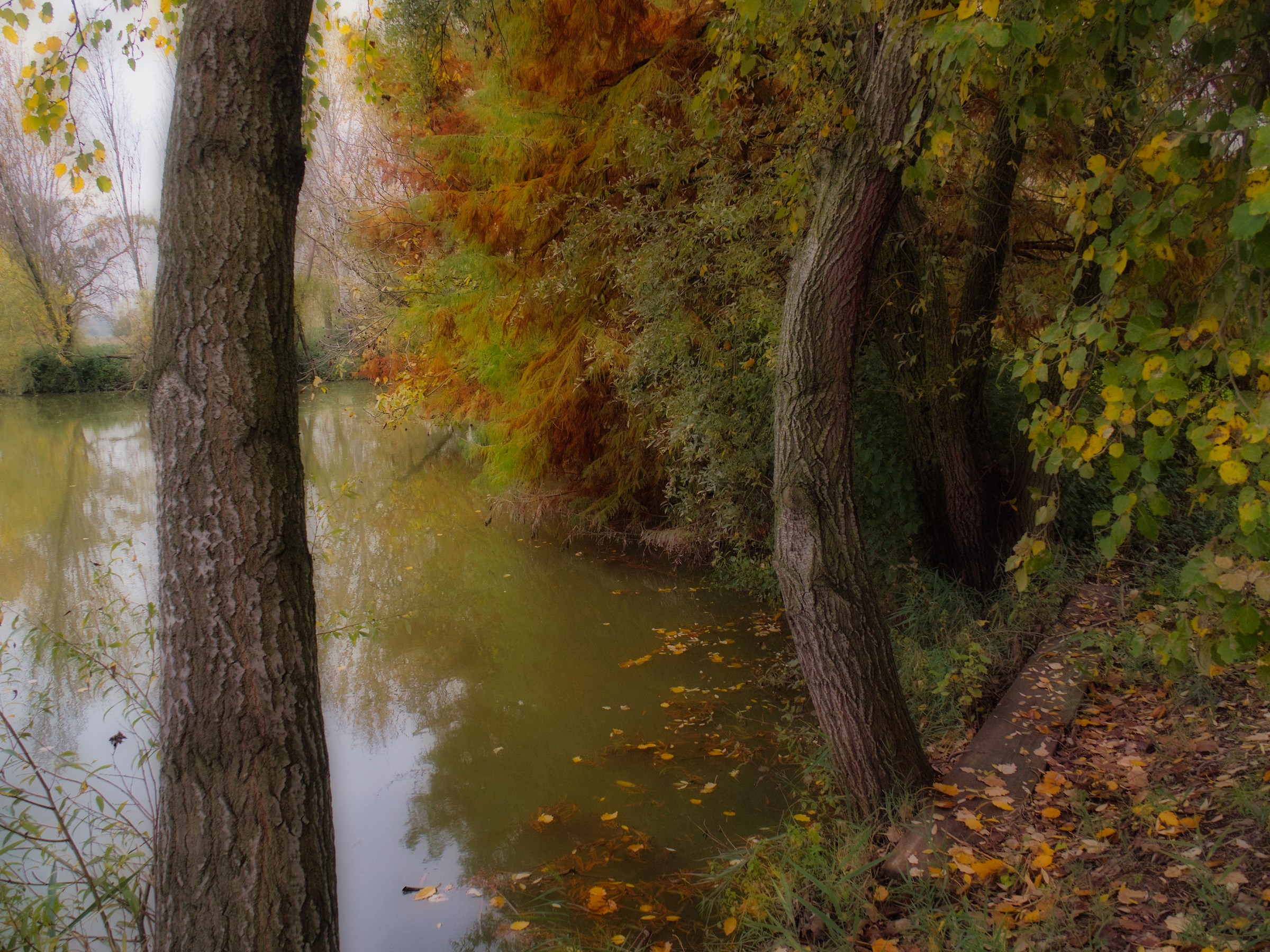 Autumn in the park Bassani-Ferrara