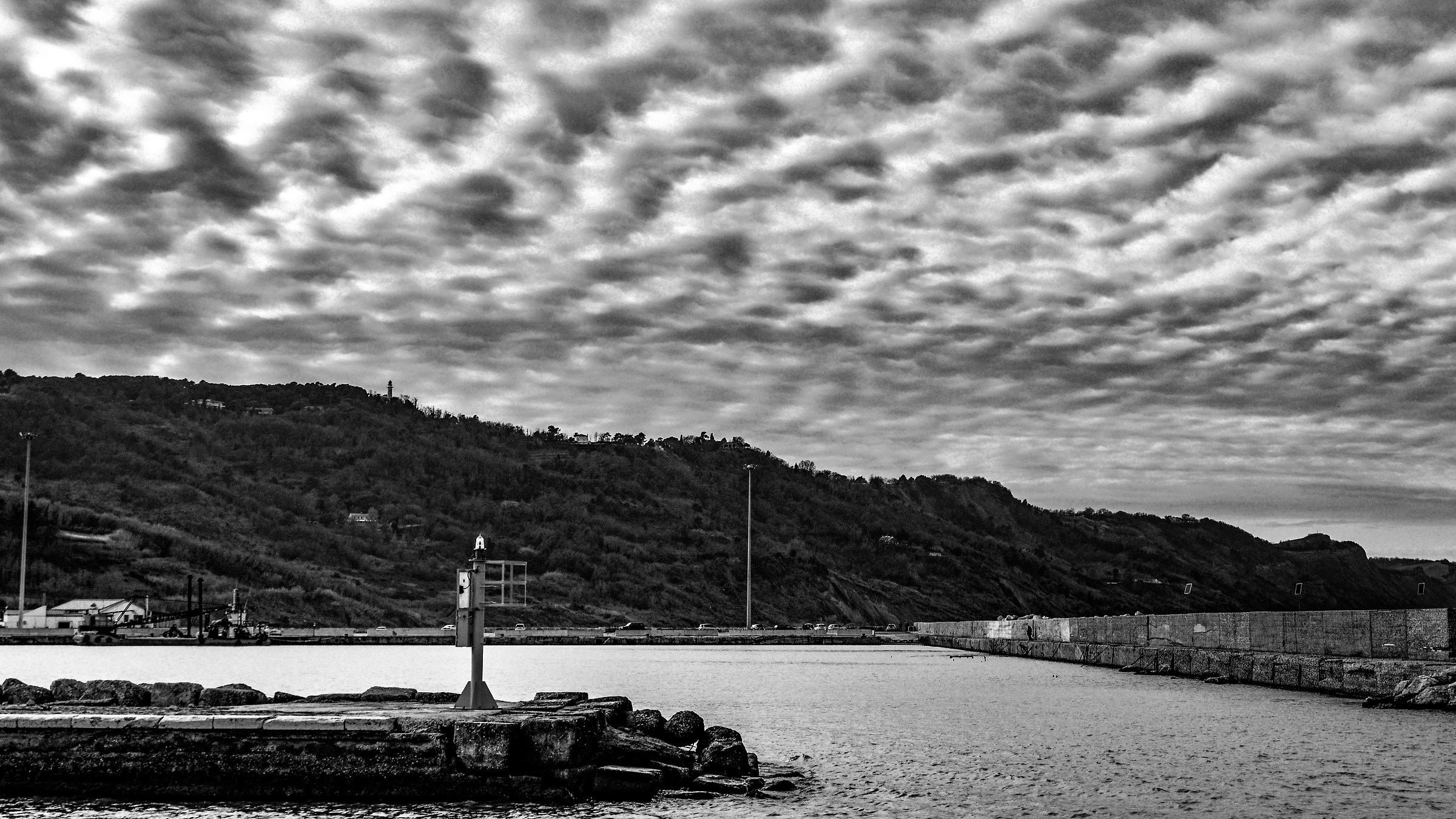 Sheepish CLOUDC on the pier-2