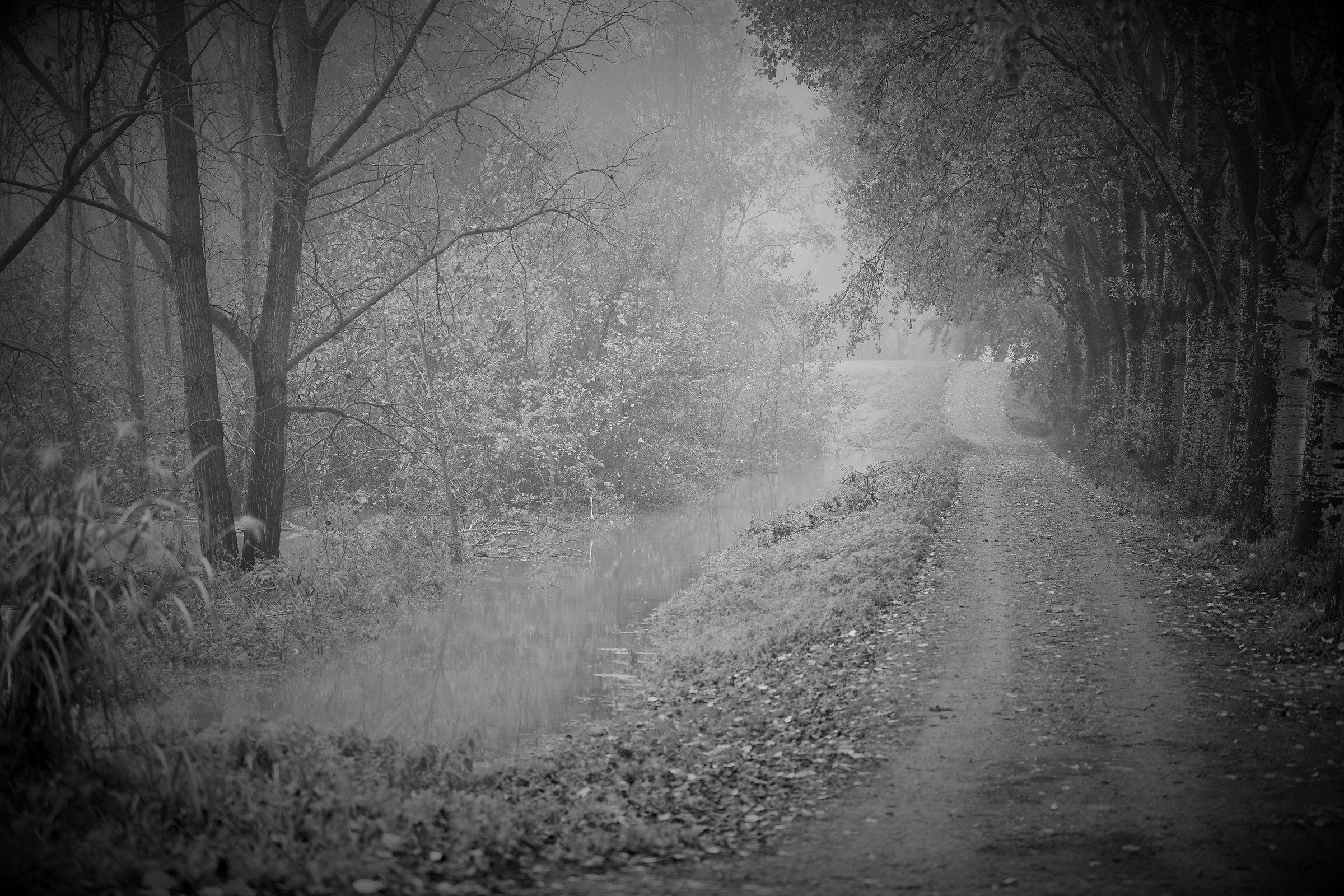 The Great River Po in full and the old fisherman