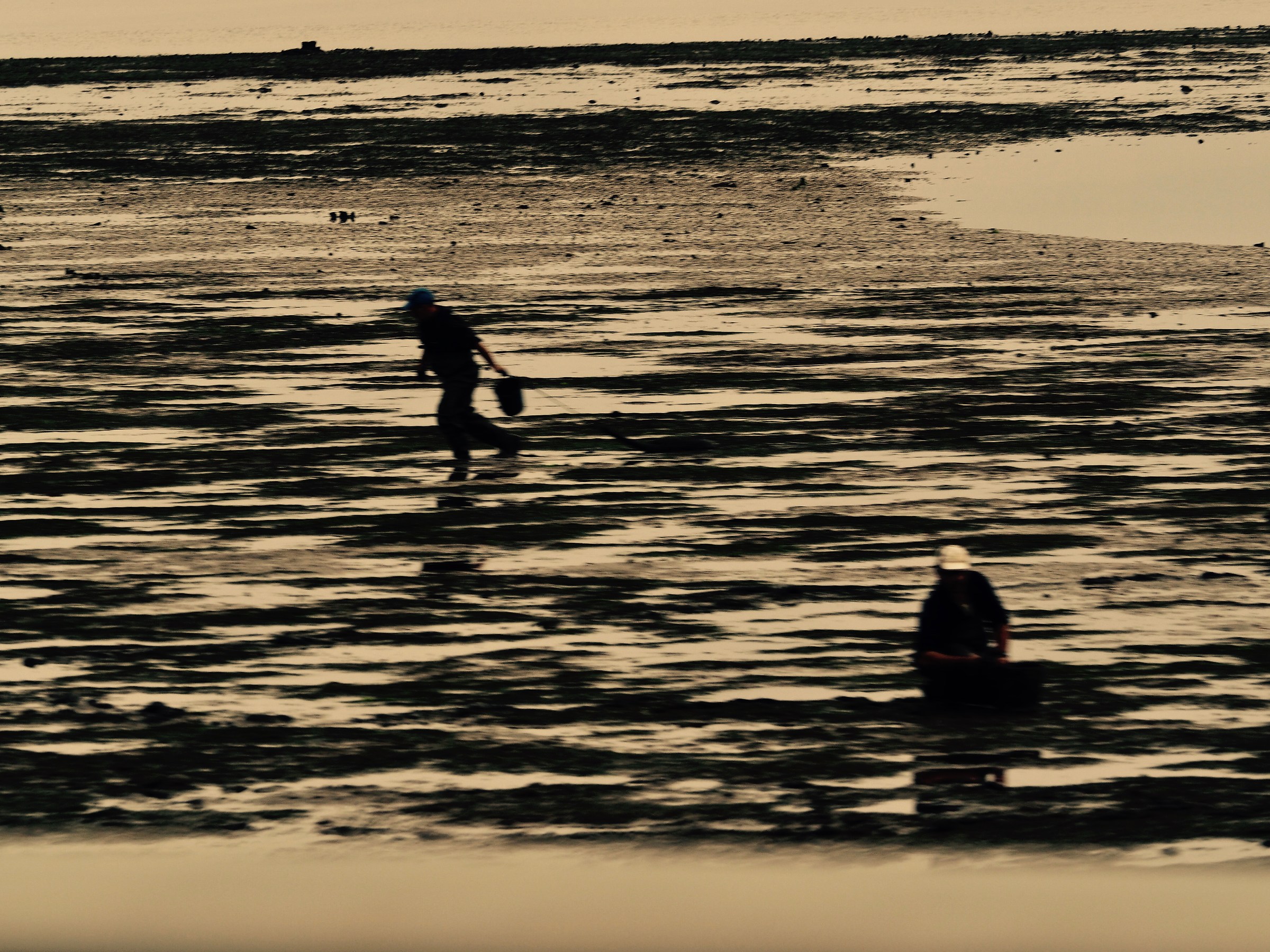 Raccoglitori di molluschi