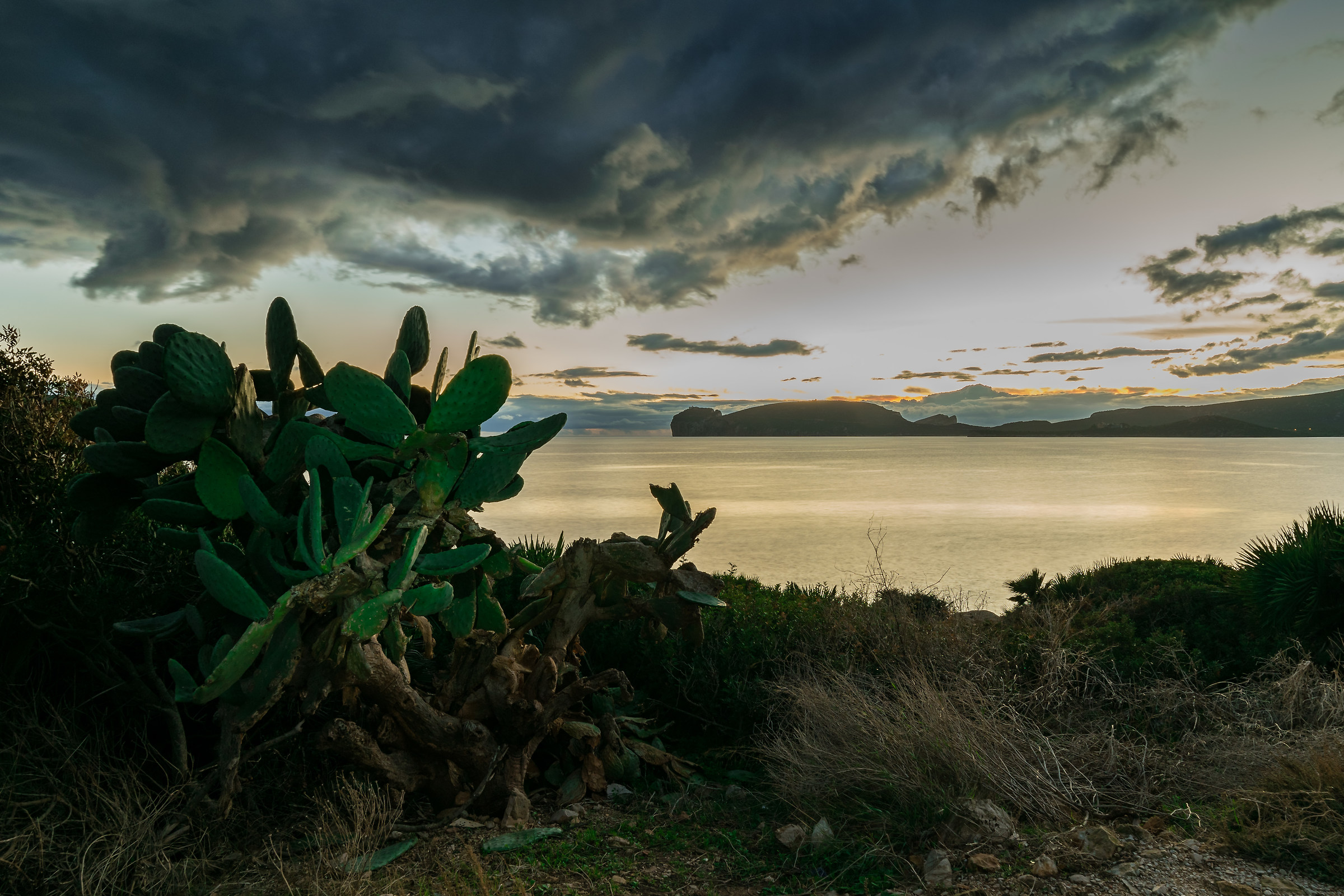 Alla fine della serata