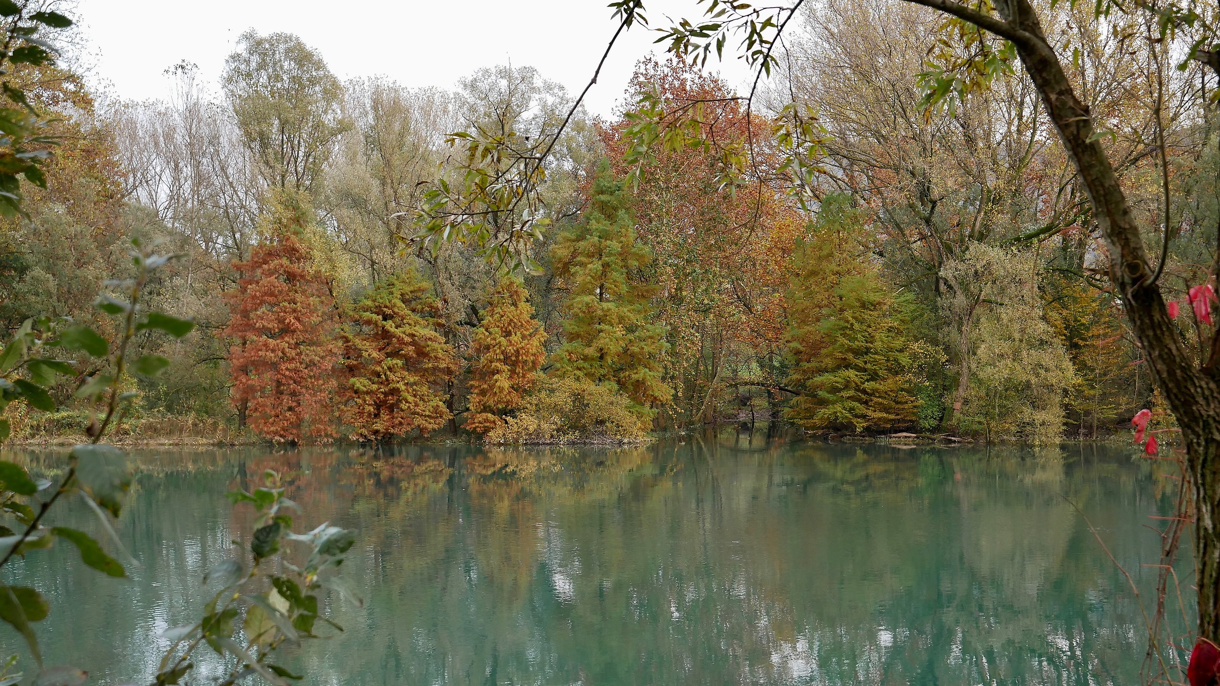 Adda, paesaggio autunnale 2