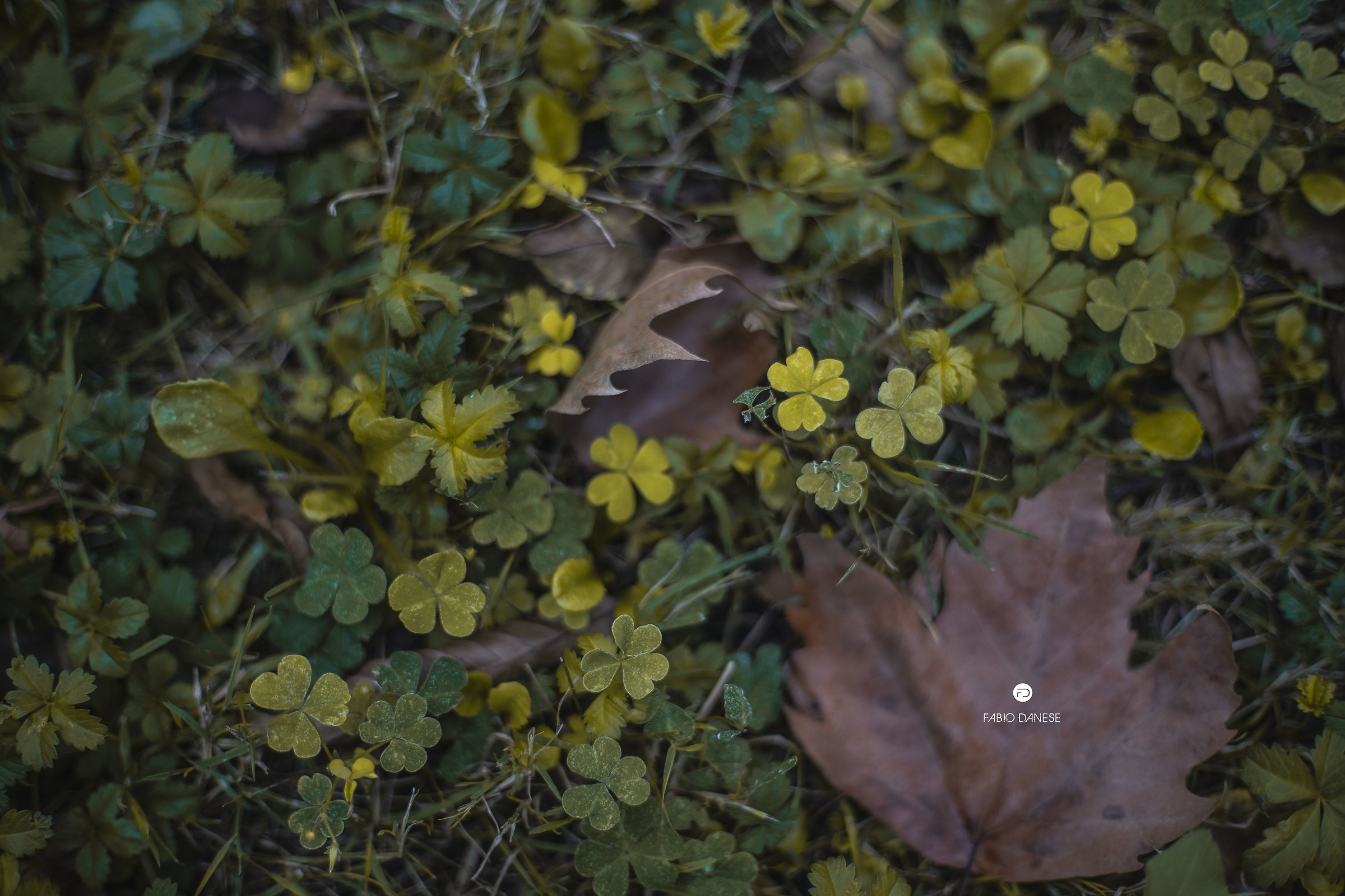 Details in a park in Milan