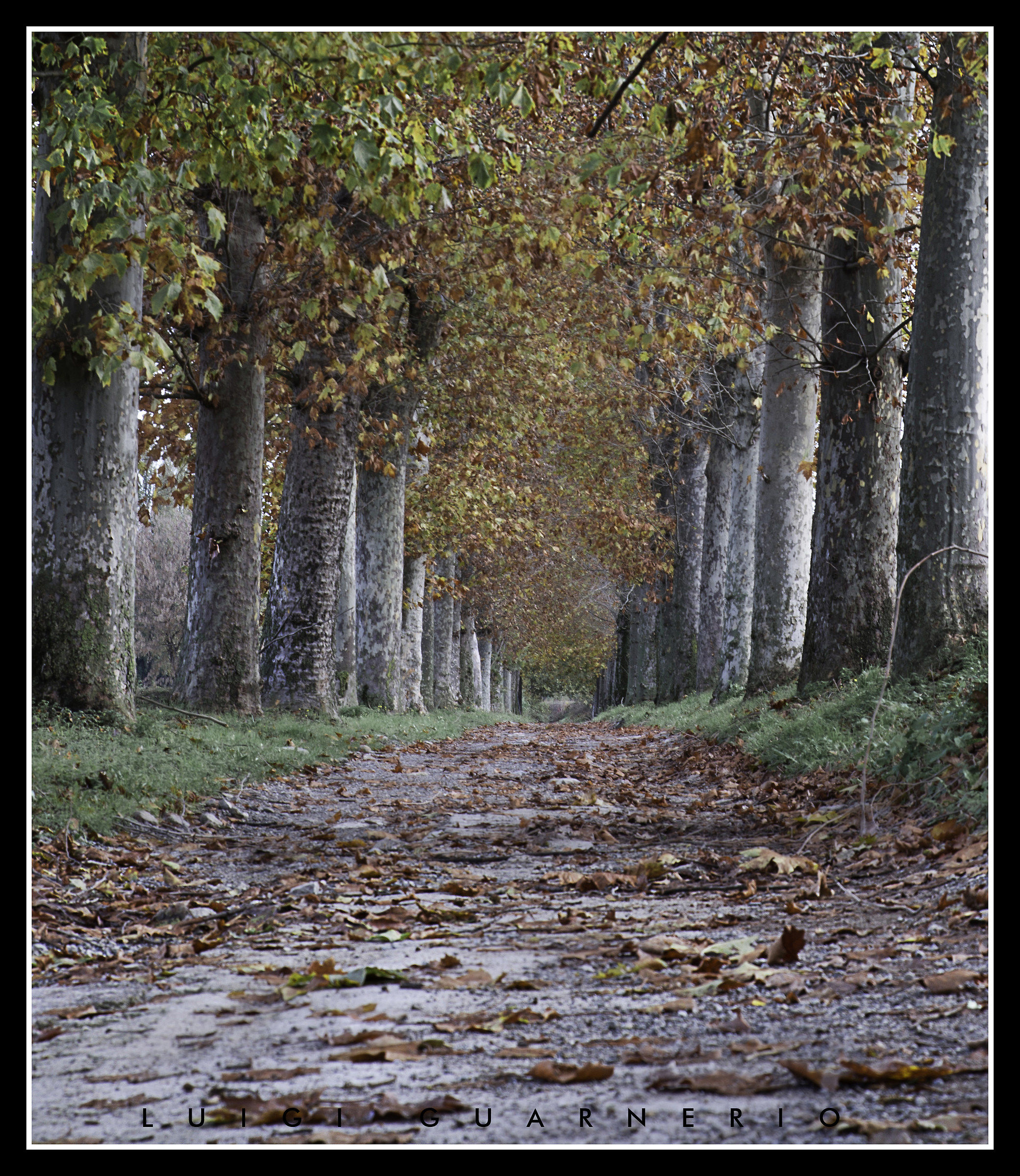 Walking stroll near the house