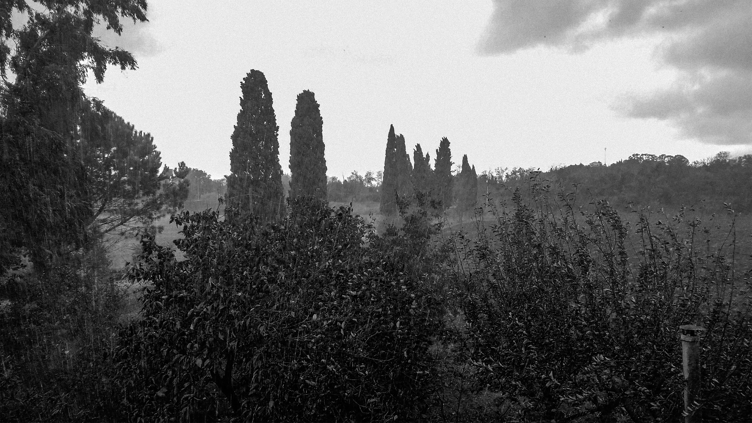 Campagna nella pioggia