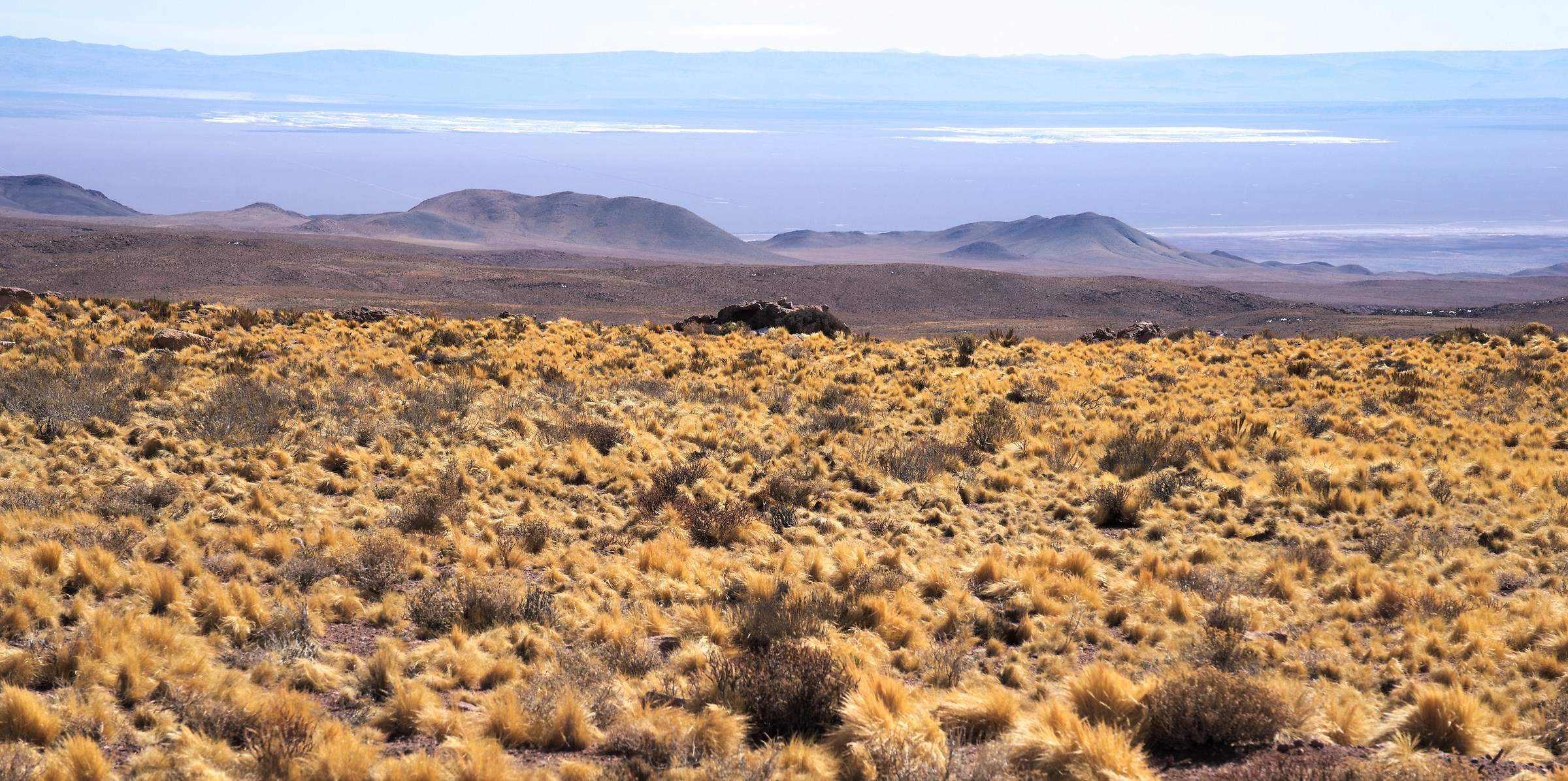 Andean Plateau/Chile