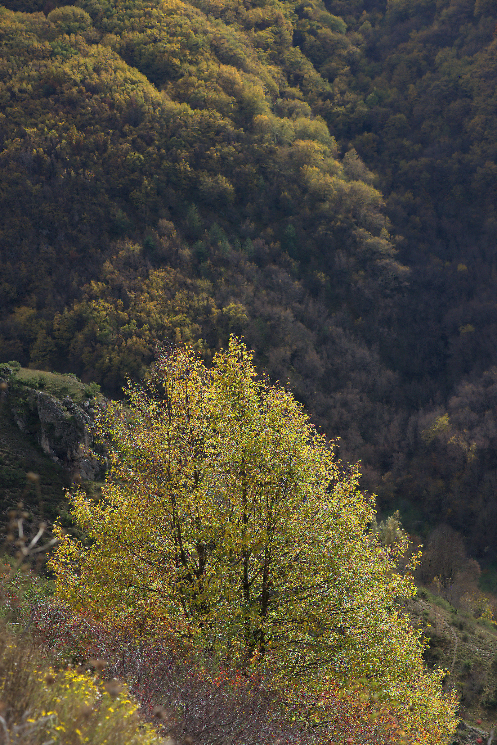 Gran Sasso and Monti della Laga Park