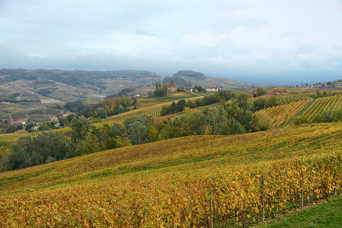 Langhe