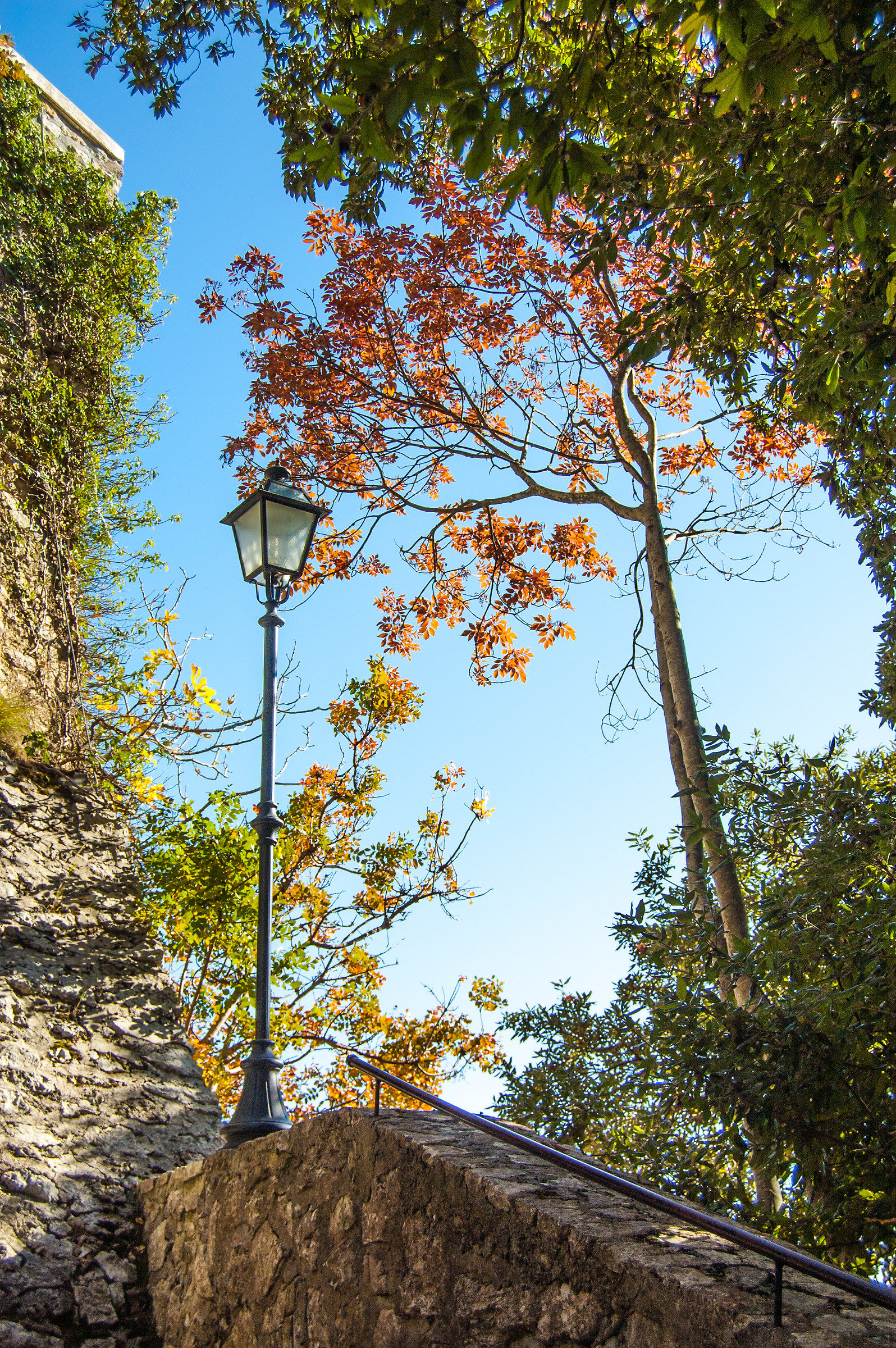 At the top of the ladder