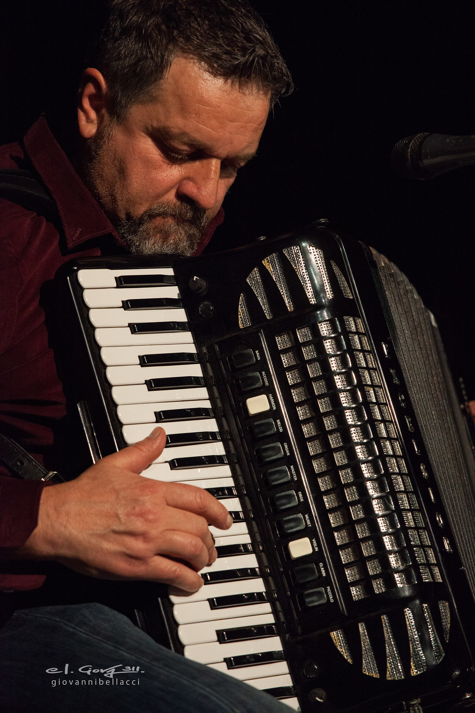 Sauro - Suono Italiano