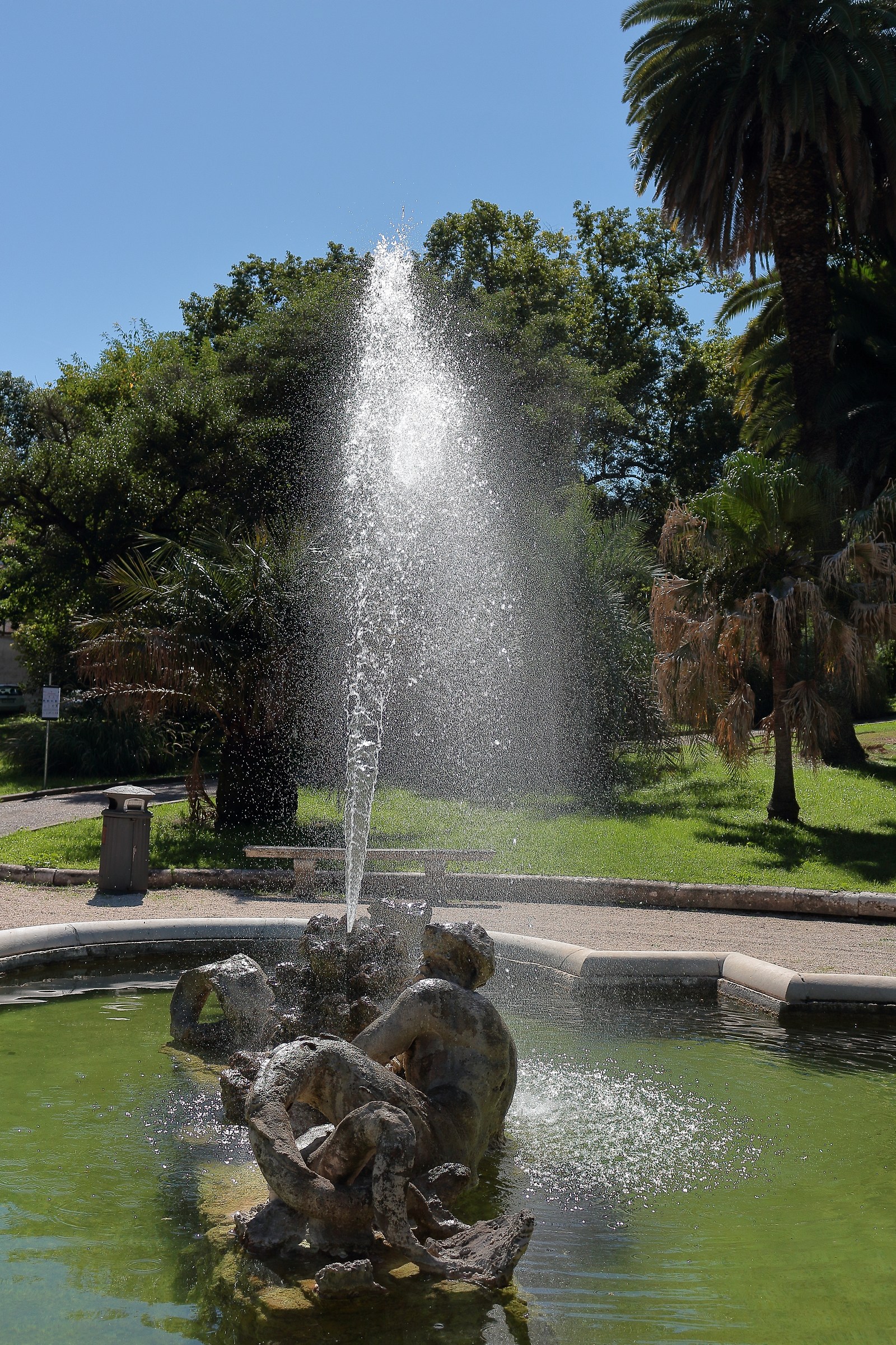 backlighting, botanical Garden of Rome