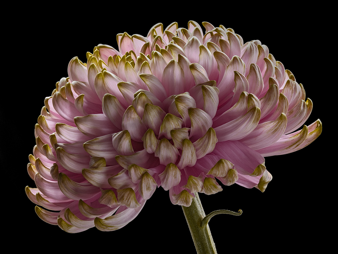 Luci accese per i defunti