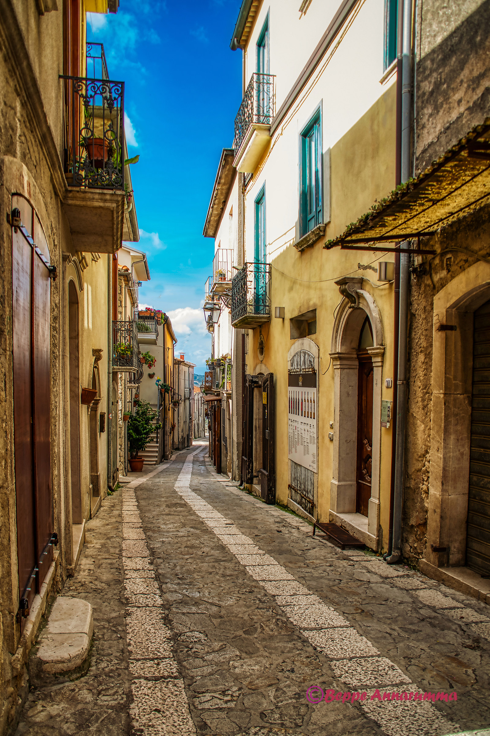 Glimpse of Taurasi (AV)