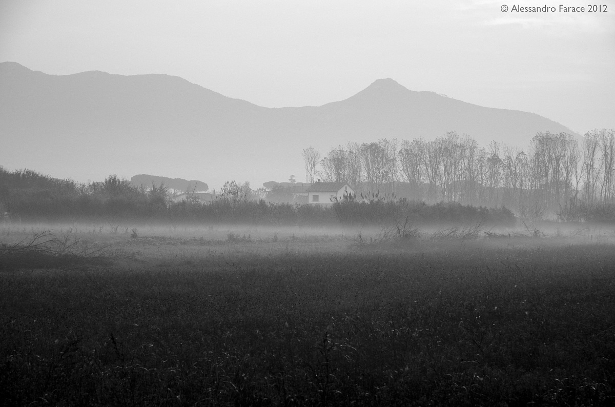 Nebbiolina d'autunno