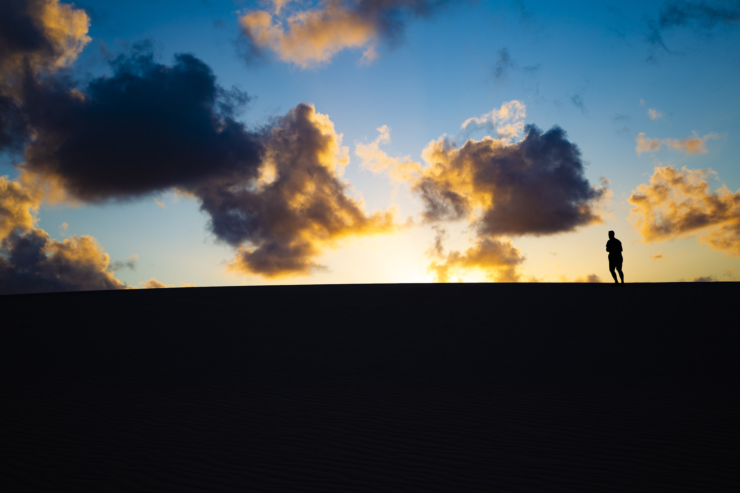 deserto "las dunas de corralejo"
