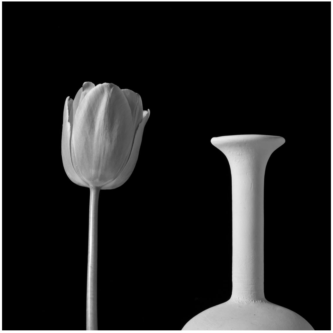 flowers nikon d300s tamron 17/50