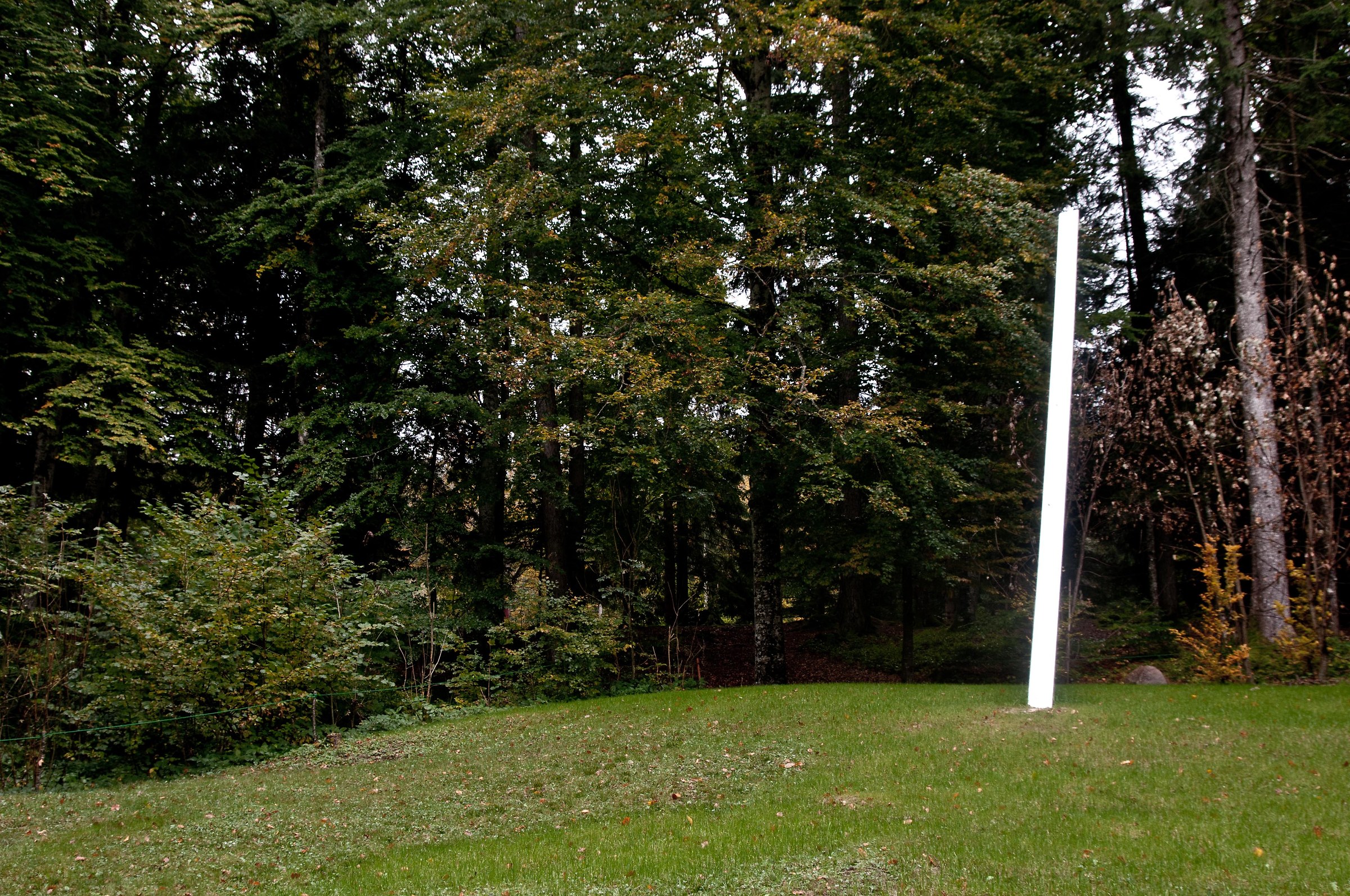 art-sella nikon d300s