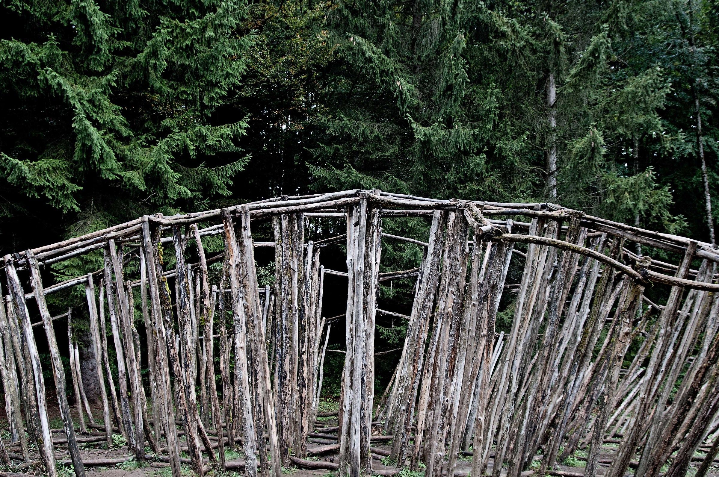 art-sella nikon d300s