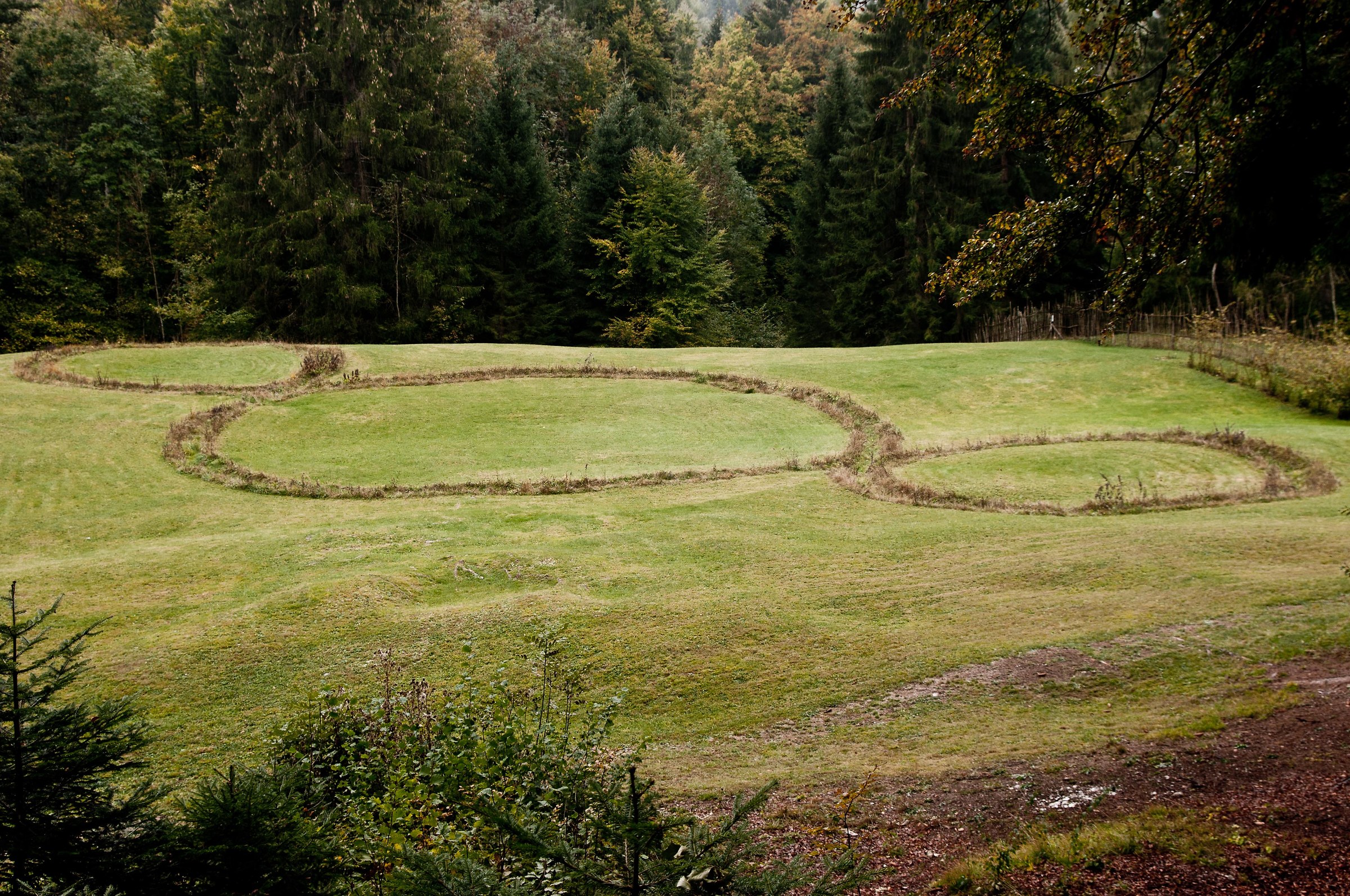 Art-Saddle Nikon d300s