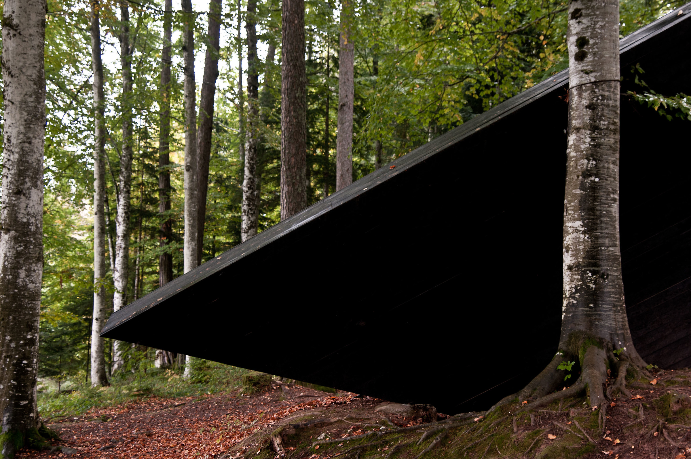 art-sella nikon d300s