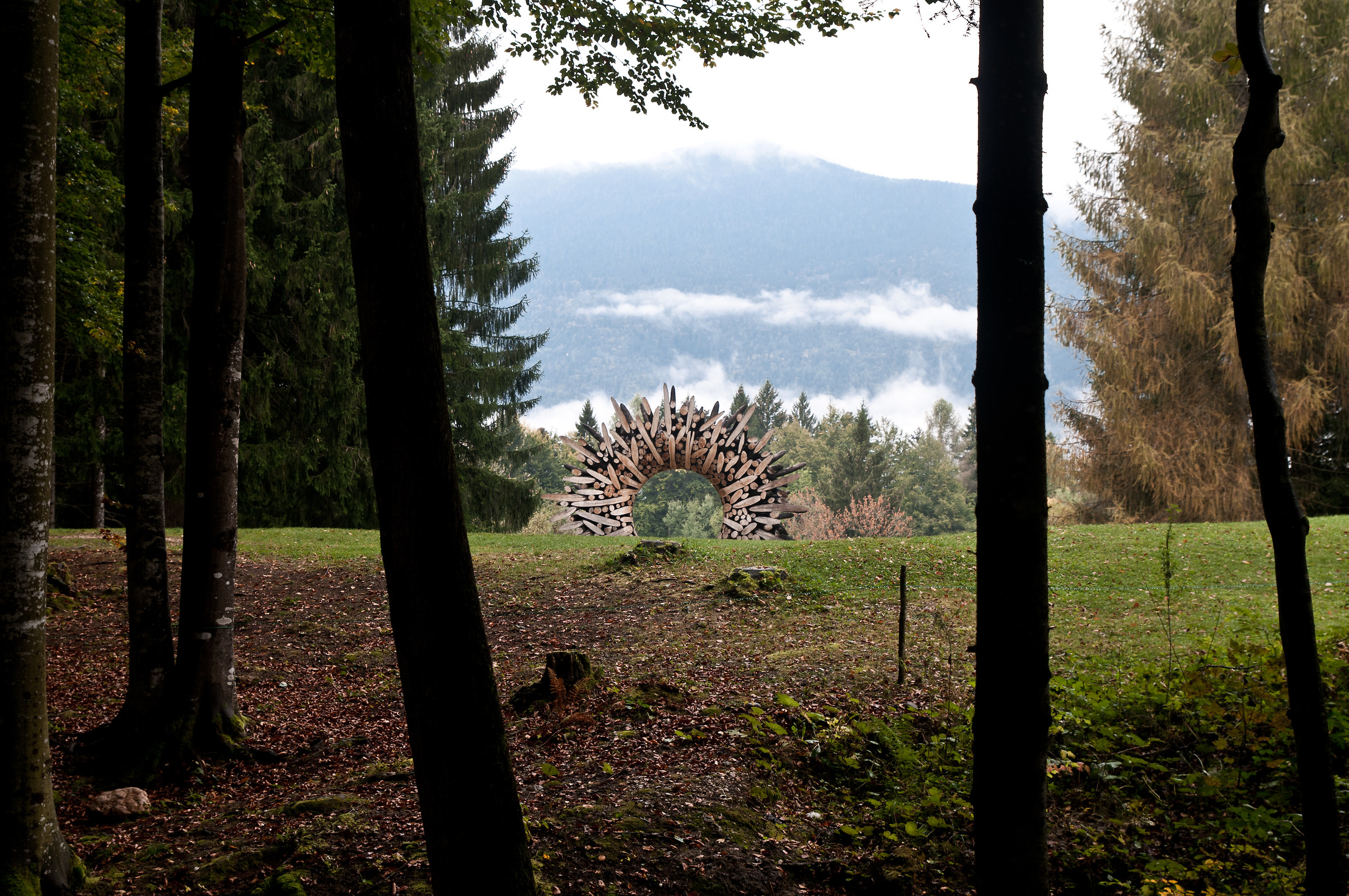 art-sella nikon d300s