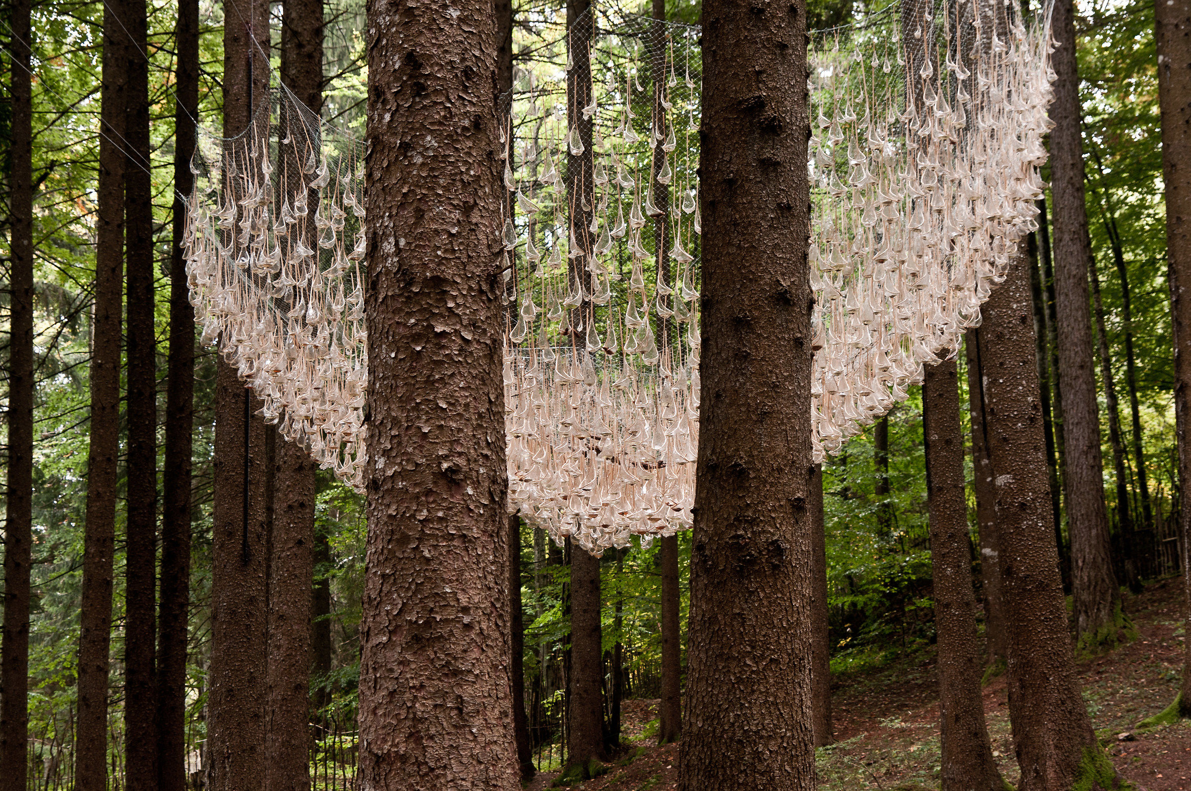 art-sella nikond300s