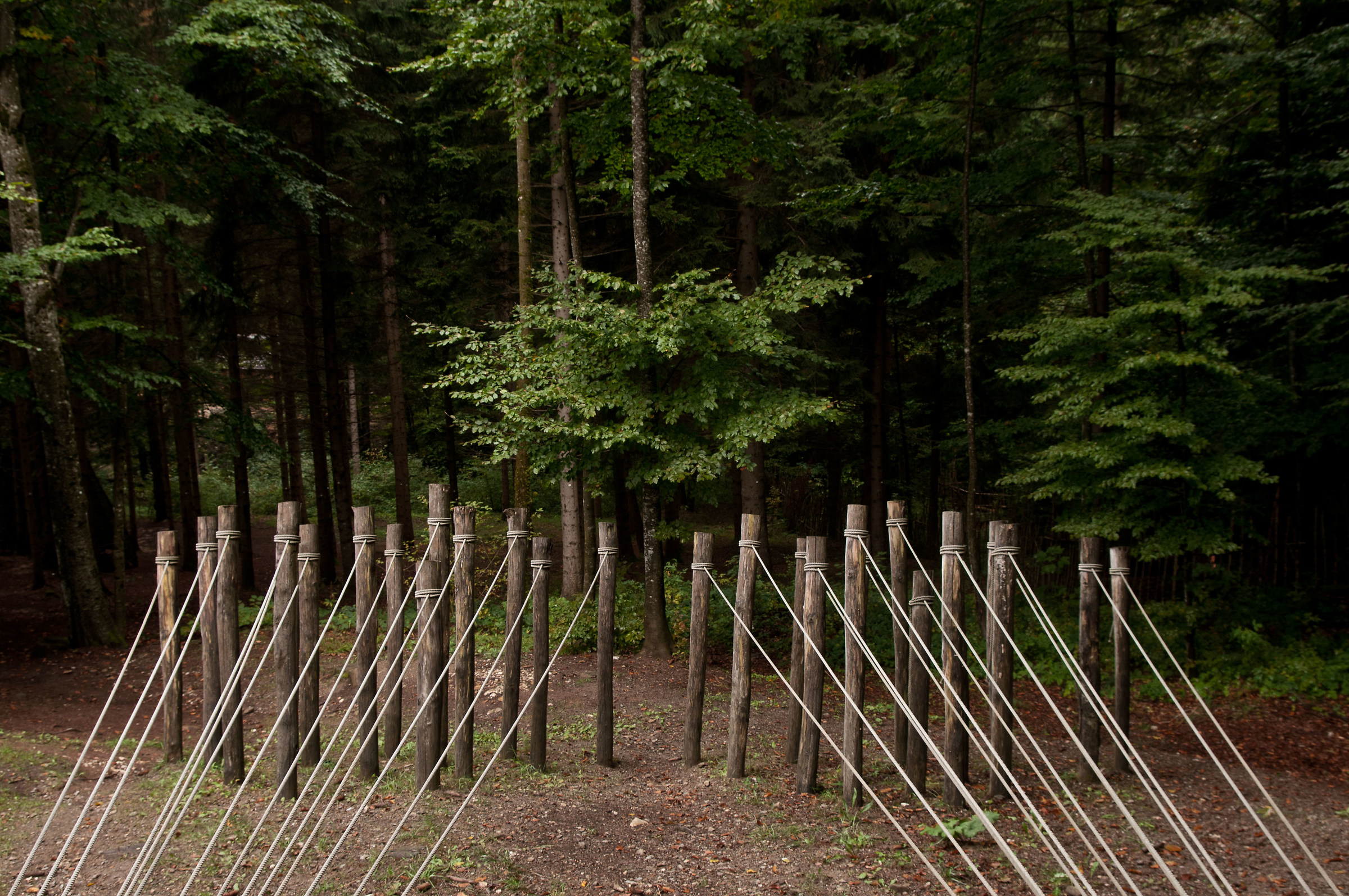 art-sella nikon d300s