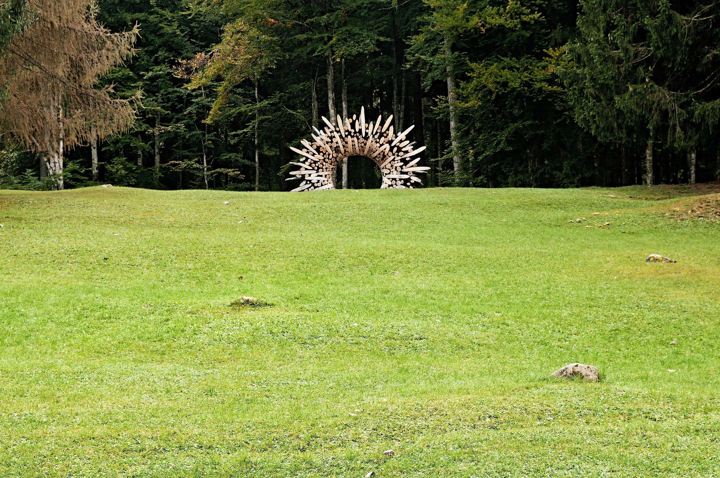 Art-Saddle Nikon d300s