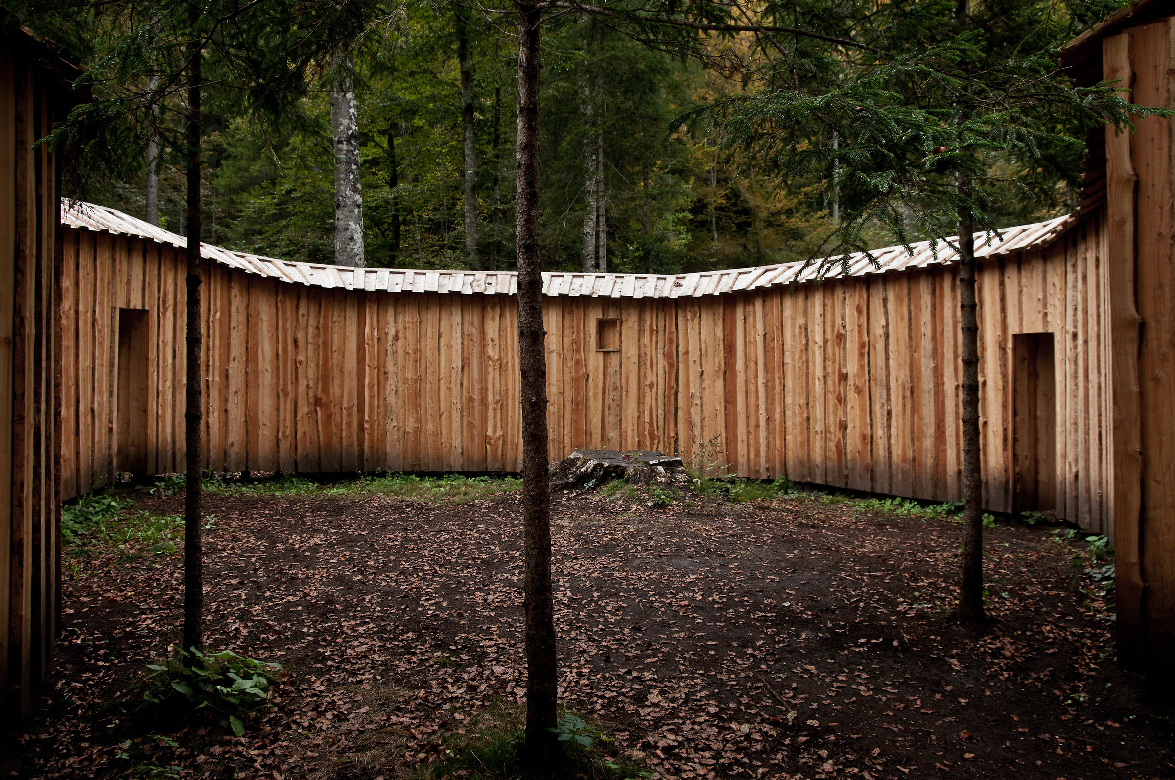 Art-Saddle Nikon d300s