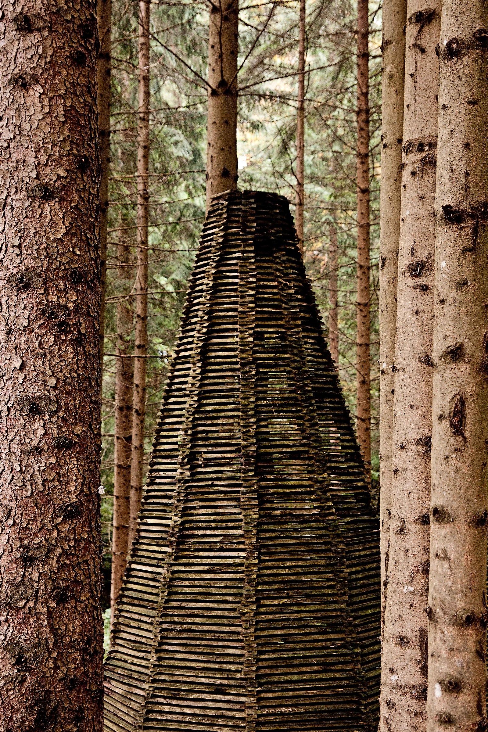 art-sella nikon d300s