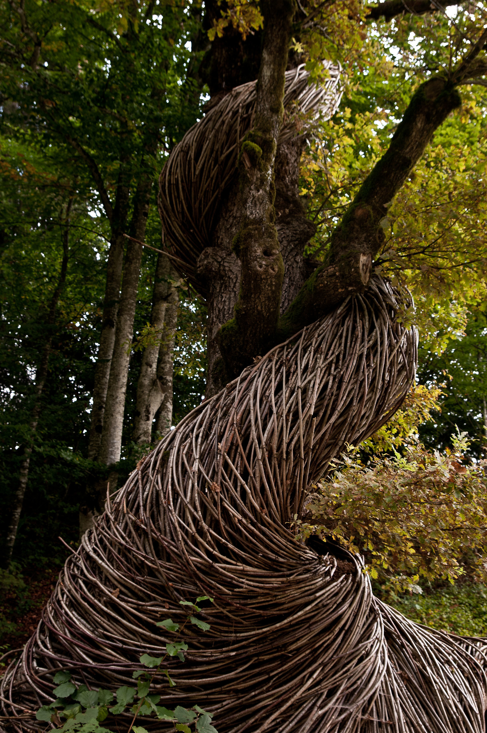 art-sella nikon d300s