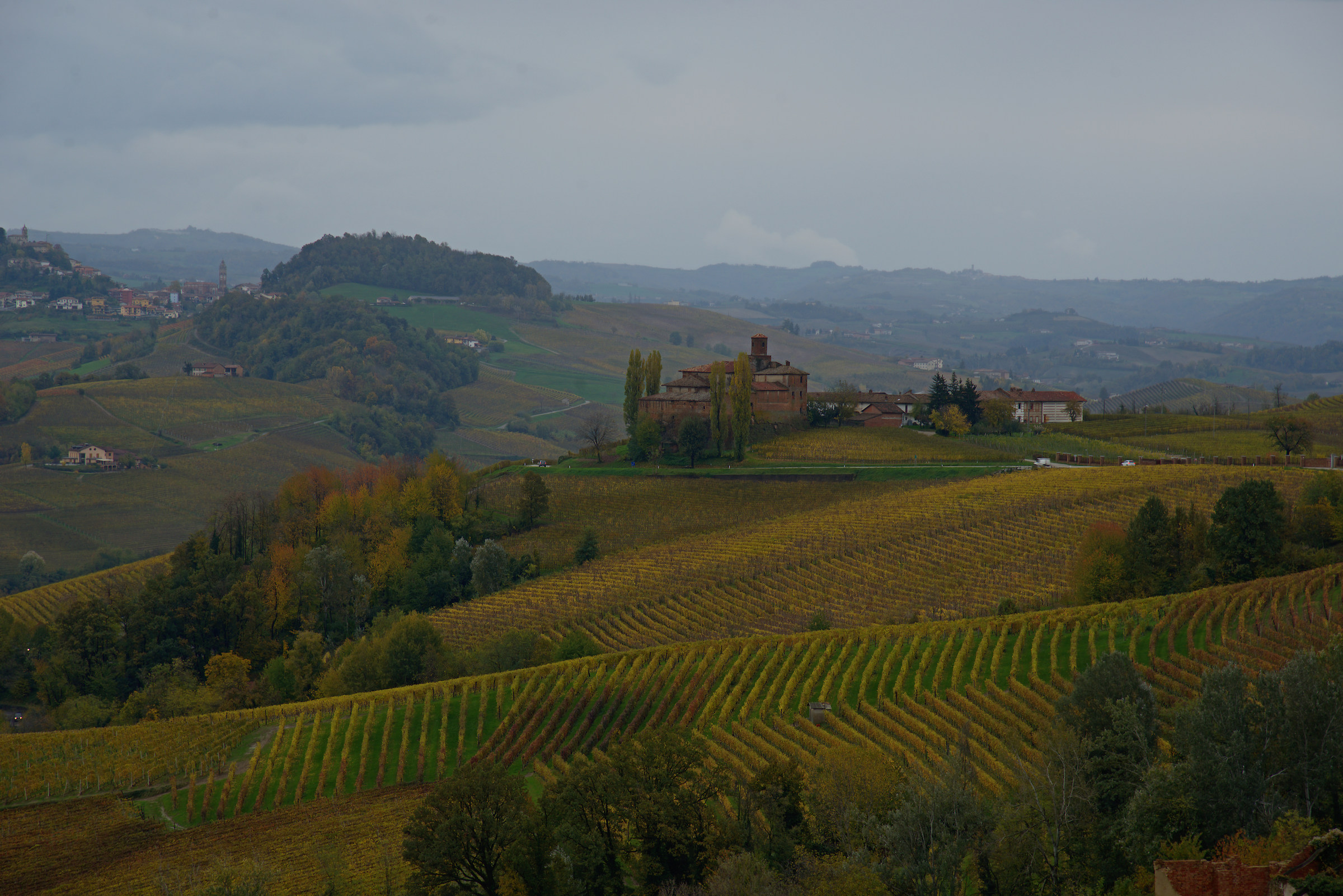 Langhe
