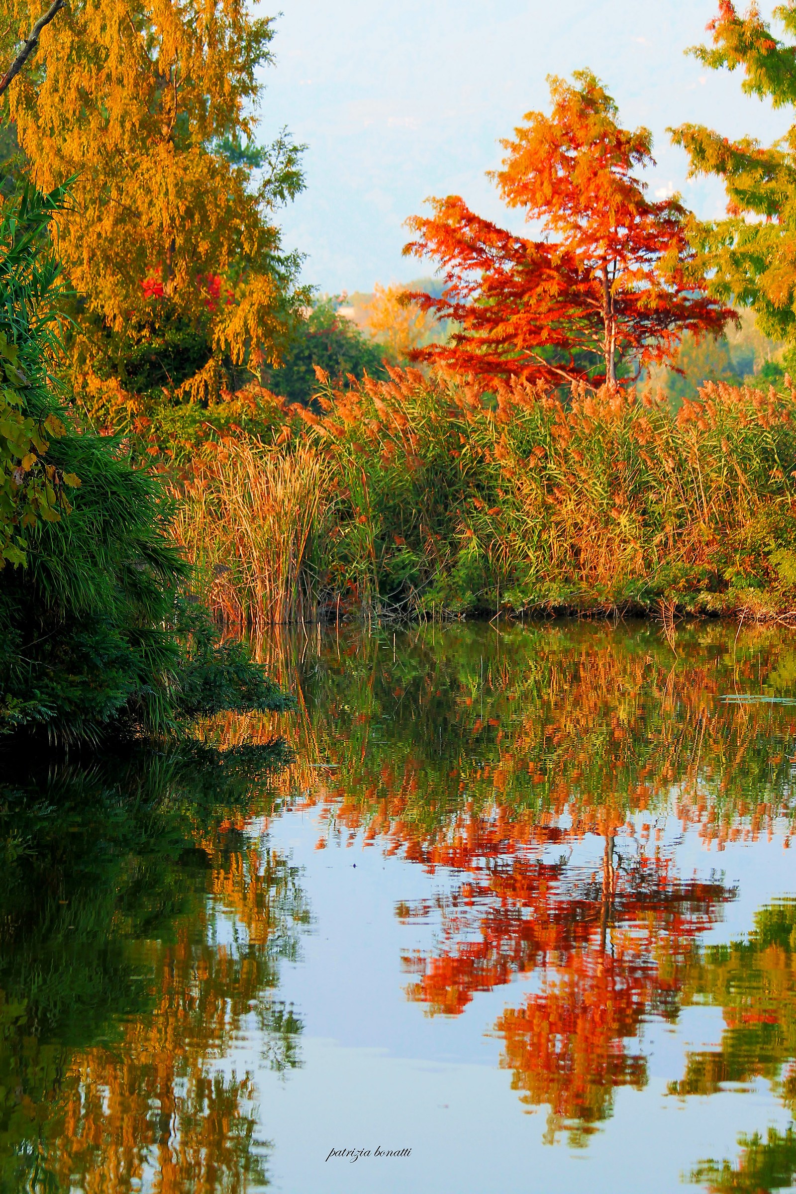 Le torbiere del  sebino