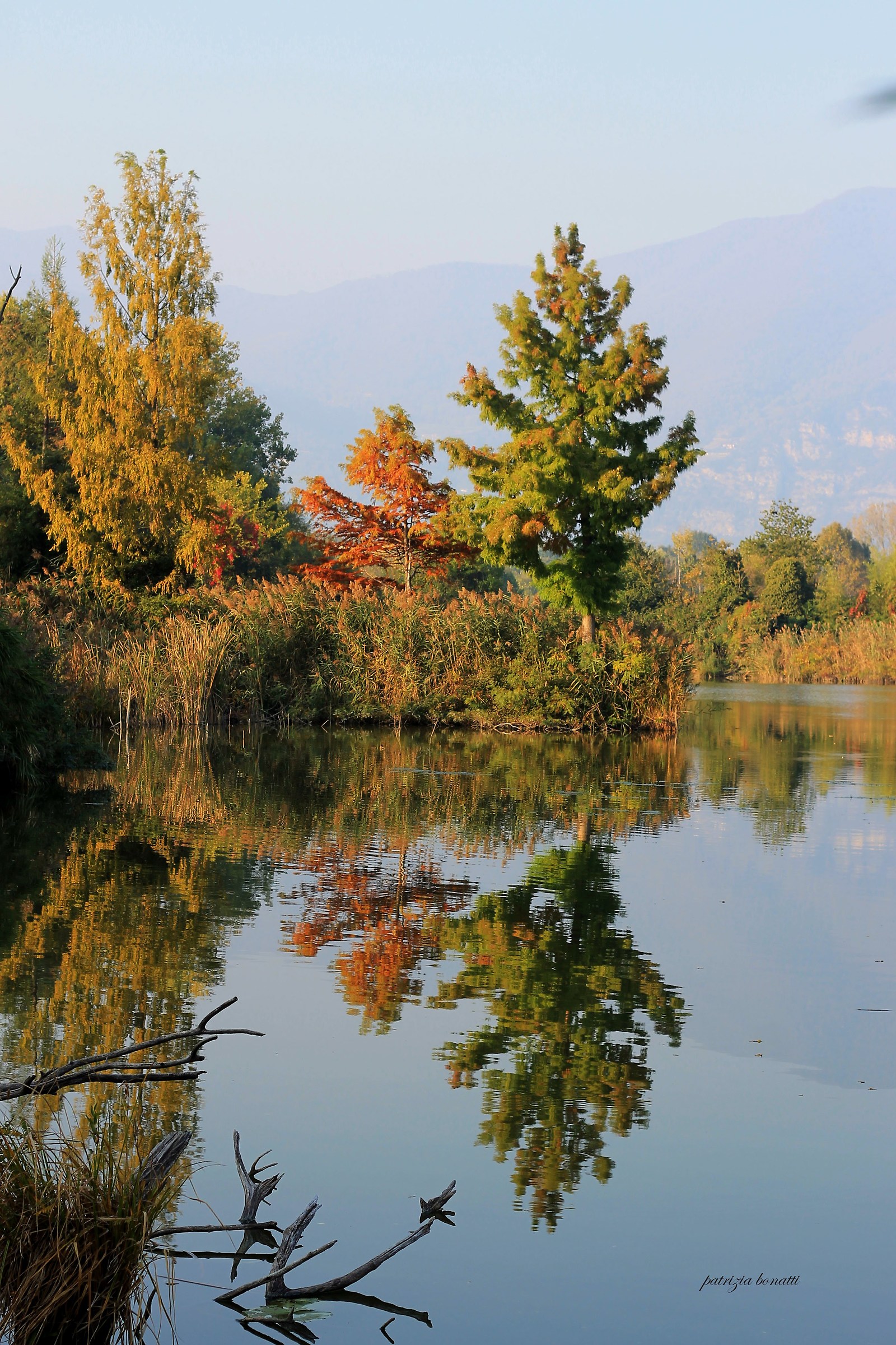 Torbiere in cornice  naturale