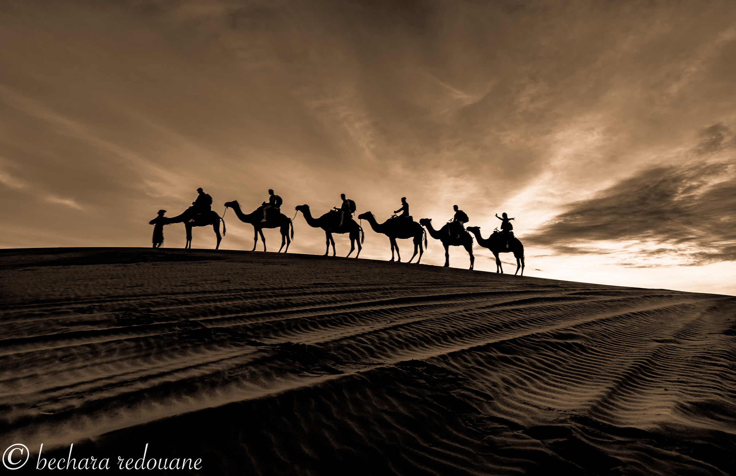 La carovana del deserto