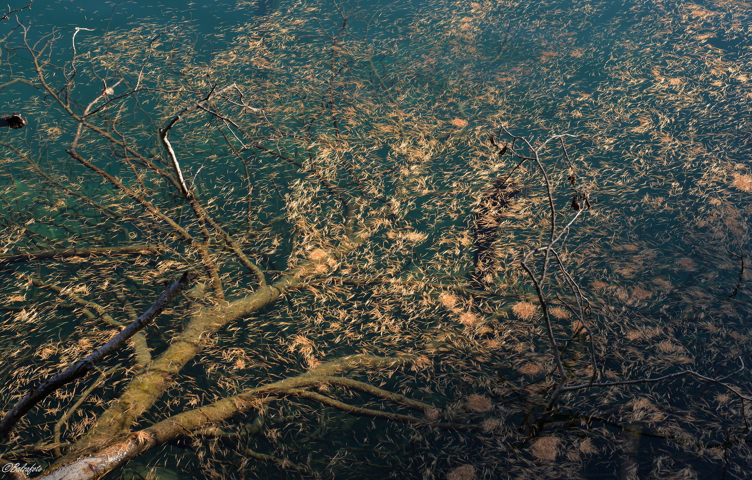 Lake Anterselva-Antholzer See