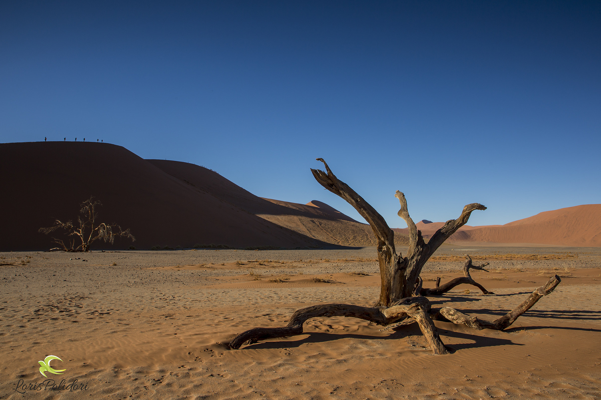 Namib-National Park, Namibia