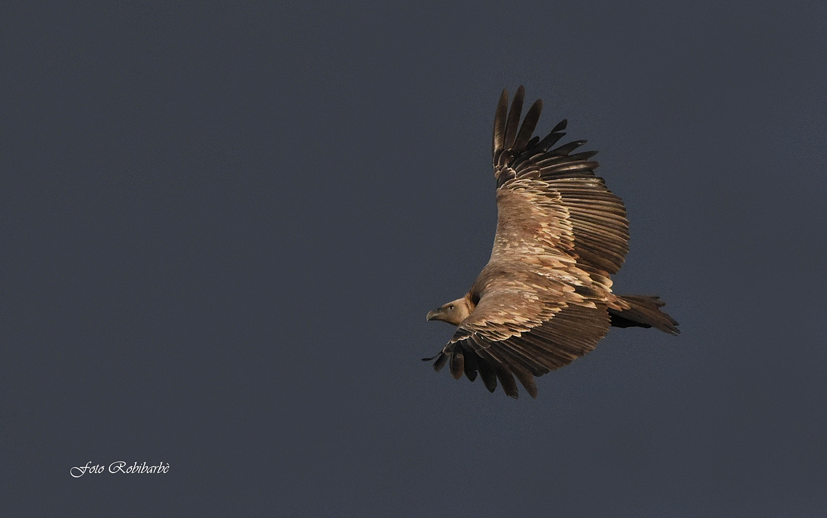 Temporale in arrivo...