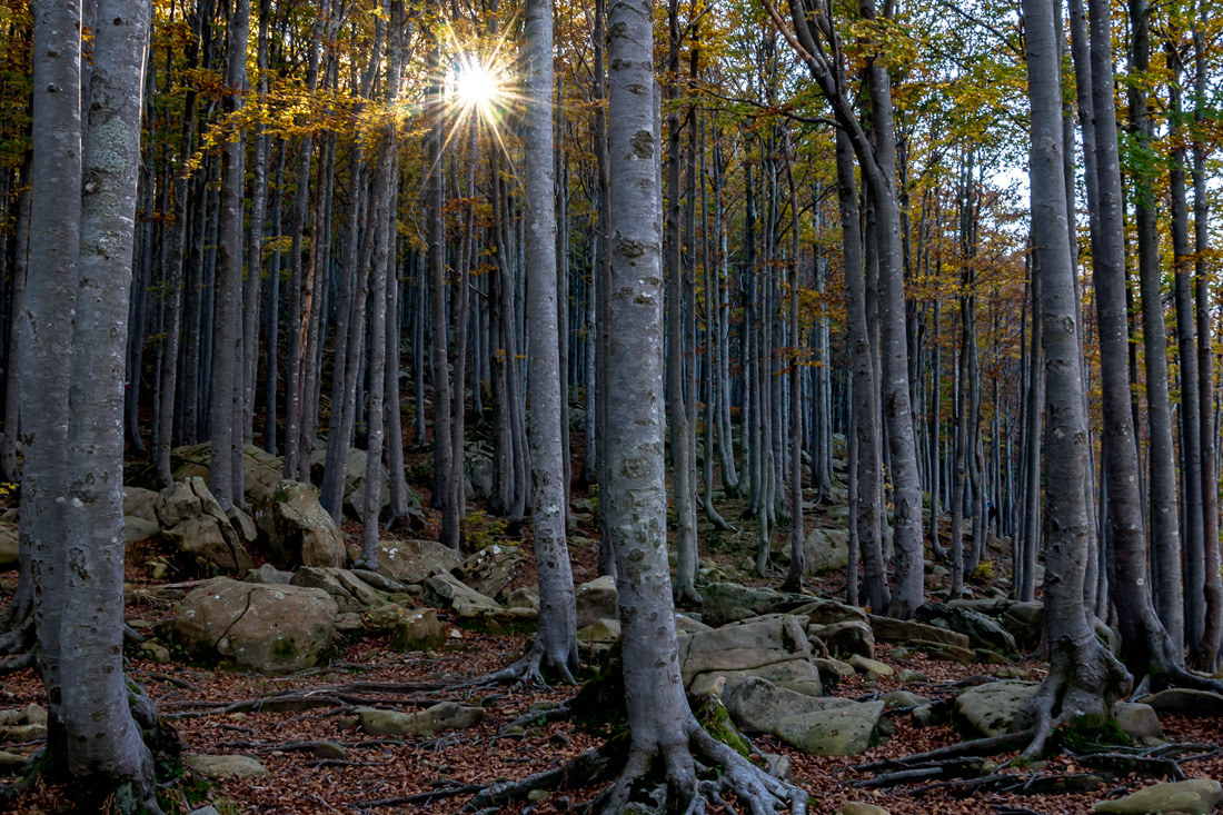 Punto di riferimento...